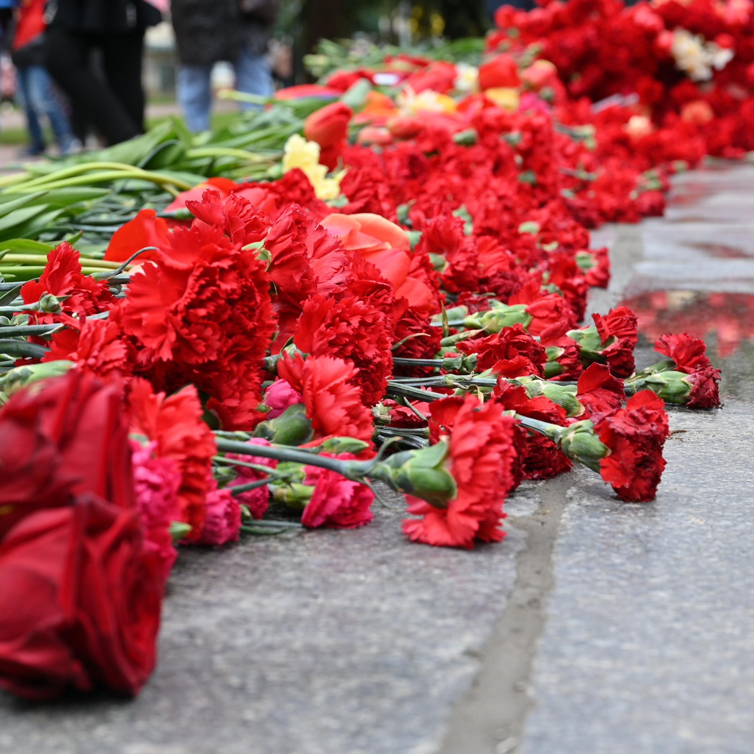 Отзывы. Семейный фотограф в г. Воскресенск Наталия Молева