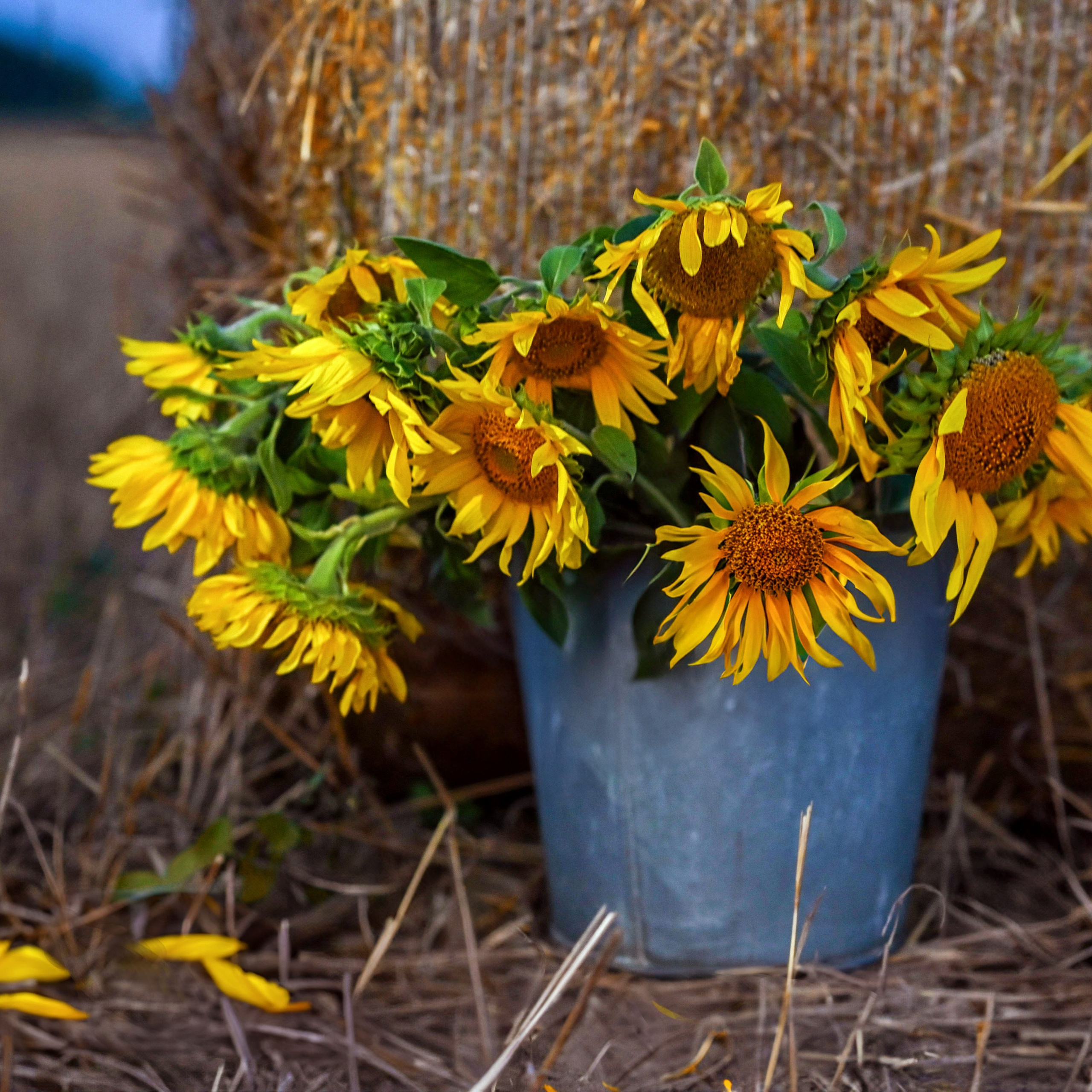 Последние дни лета