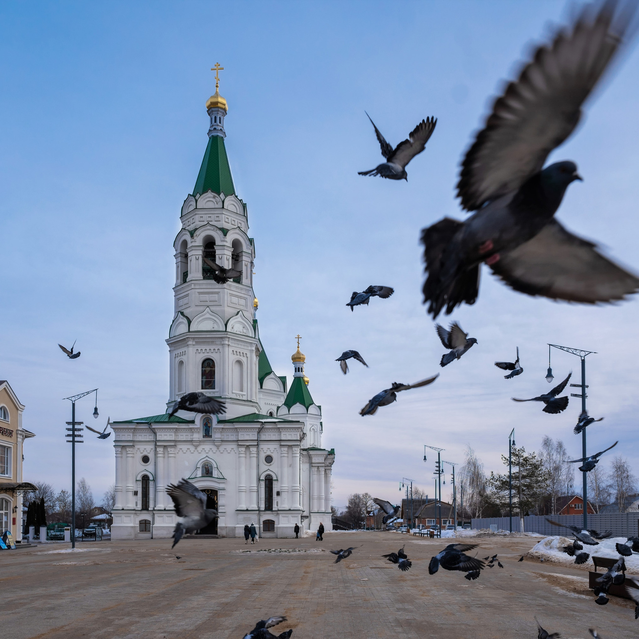 Отзывы. Семейный фотограф в г. Воскресенск Наталия Молева