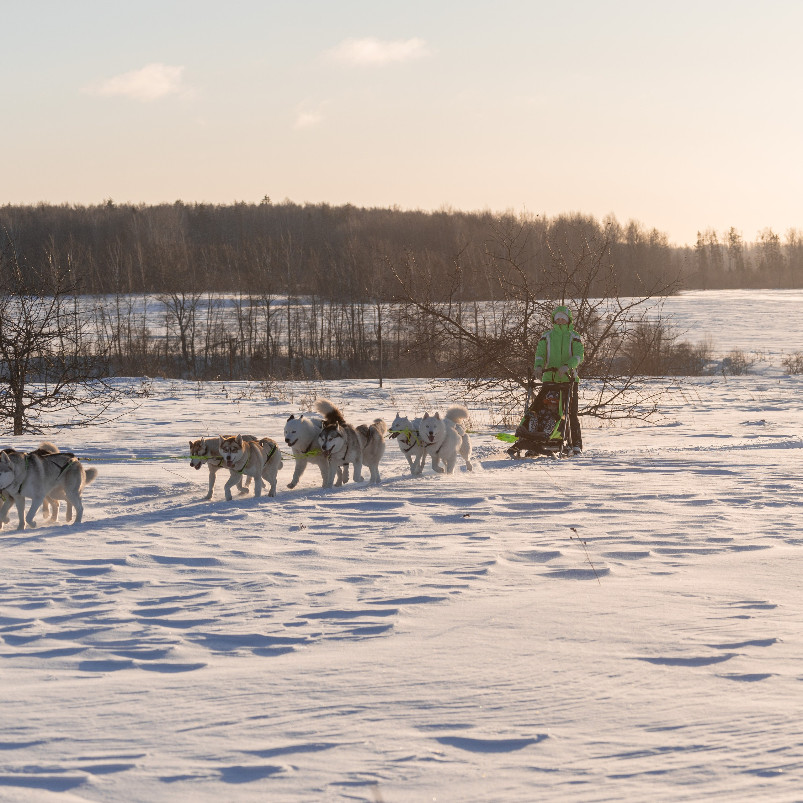 Отзывы о фотографе Анастасии Гусевой | Переславль-Залесский. Фотограф Переславль Анастасия Гусева