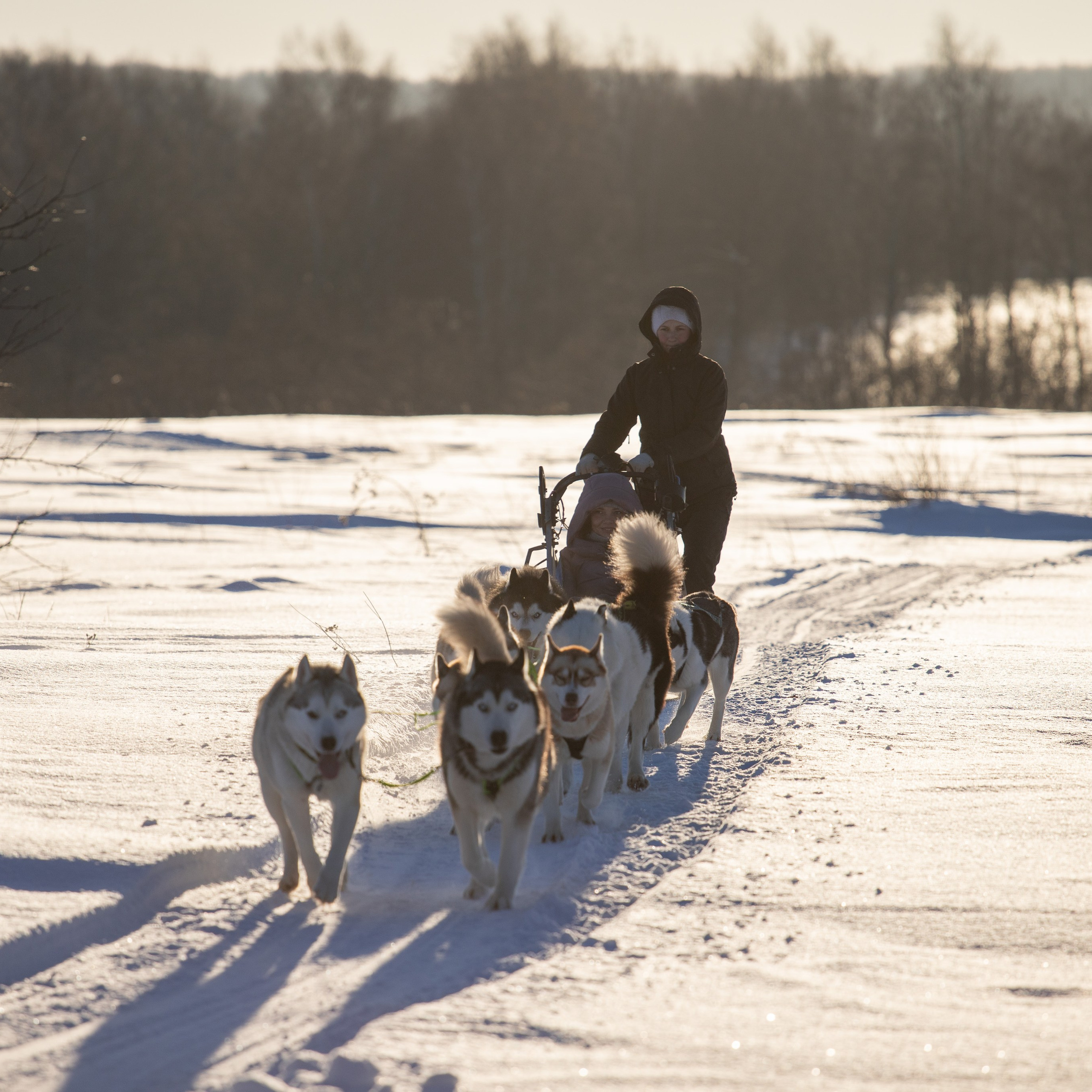 Отзывы о фотографе Анастасии Гусевой | Переславль-Залесский. Фотограф Переславль Анастасия Гусева