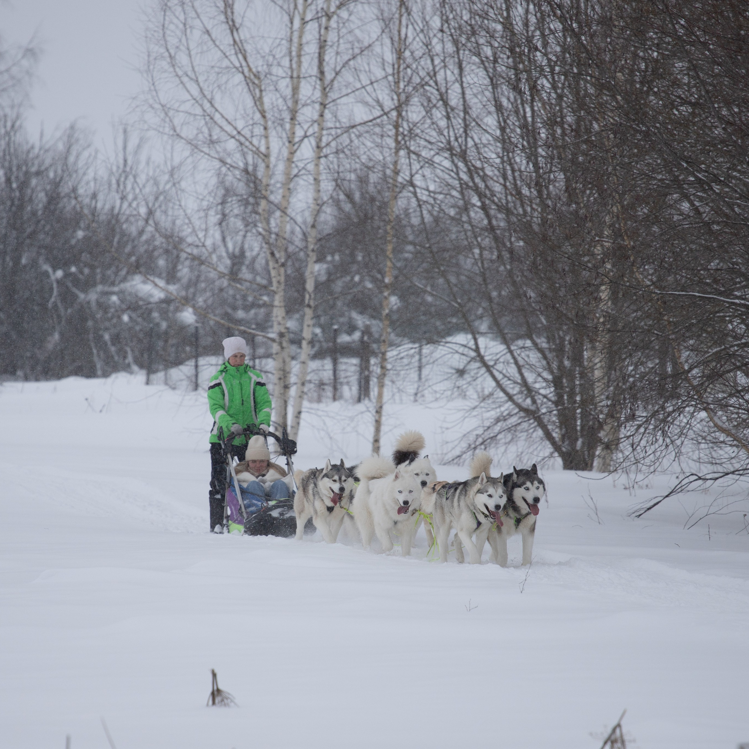 Отзывы о фотографе Анастасии Гусевой | Переславль-Залесский. Фотограф Переславль Анастасия Гусева