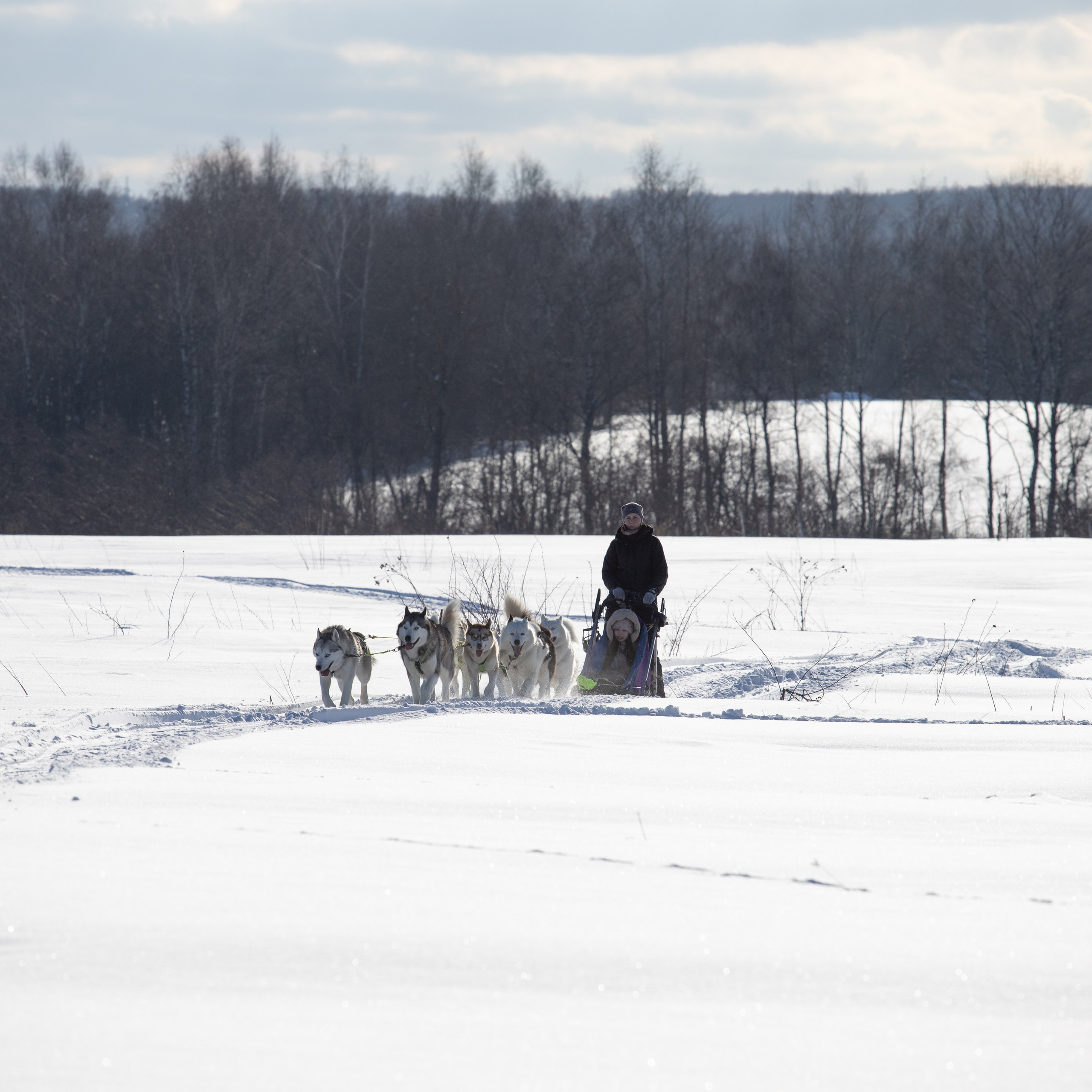 Отзывы о фотографе Анастасии Гусевой | Переславль-Залесский. Фотограф Переславль Анастасия Гусева