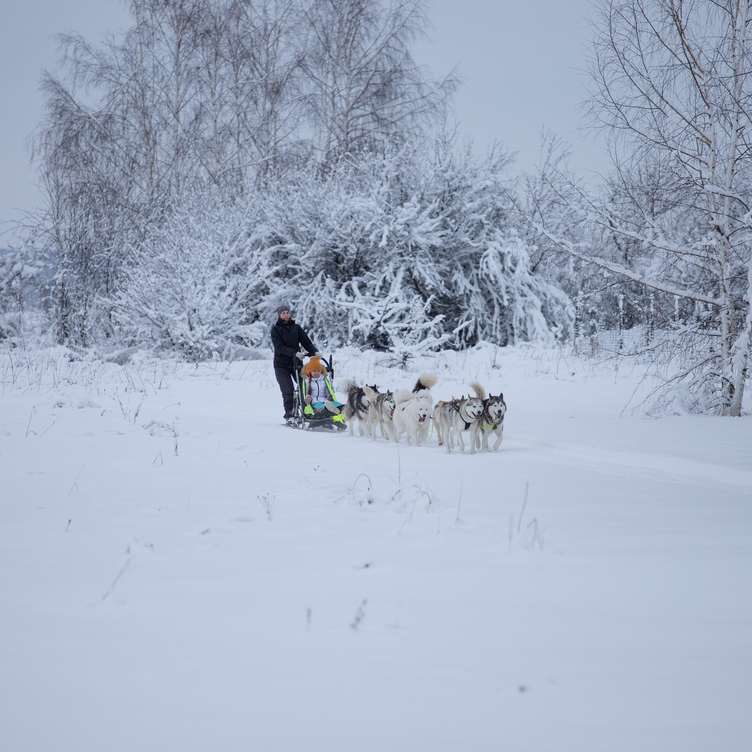 Отзывы о фотографе Анастасии Гусевой | Переславль-Залесский. Фотограф Переславль Анастасия Гусева