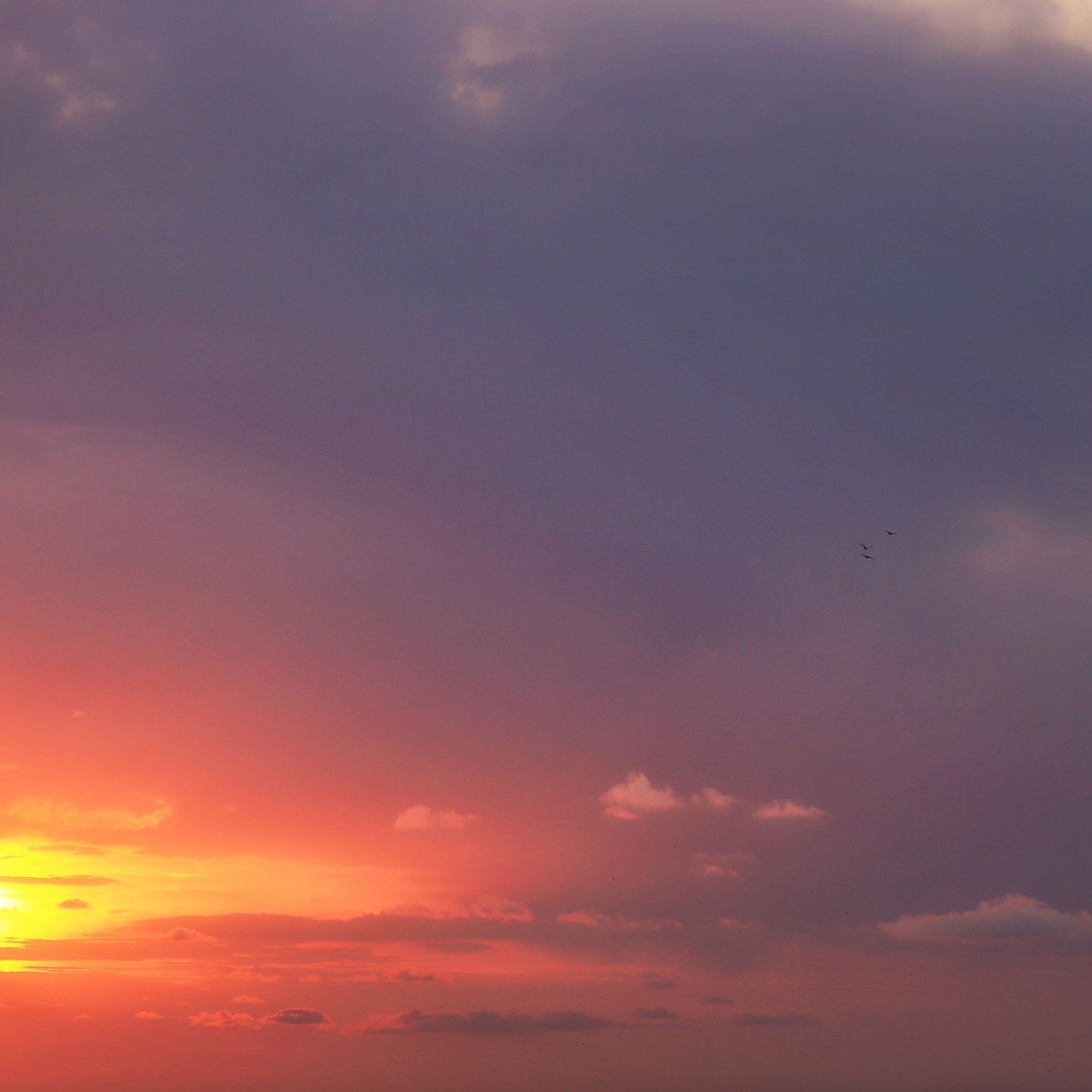 Отзывы. Профессиональный фотограф в Ижевске Олеся Бобылева