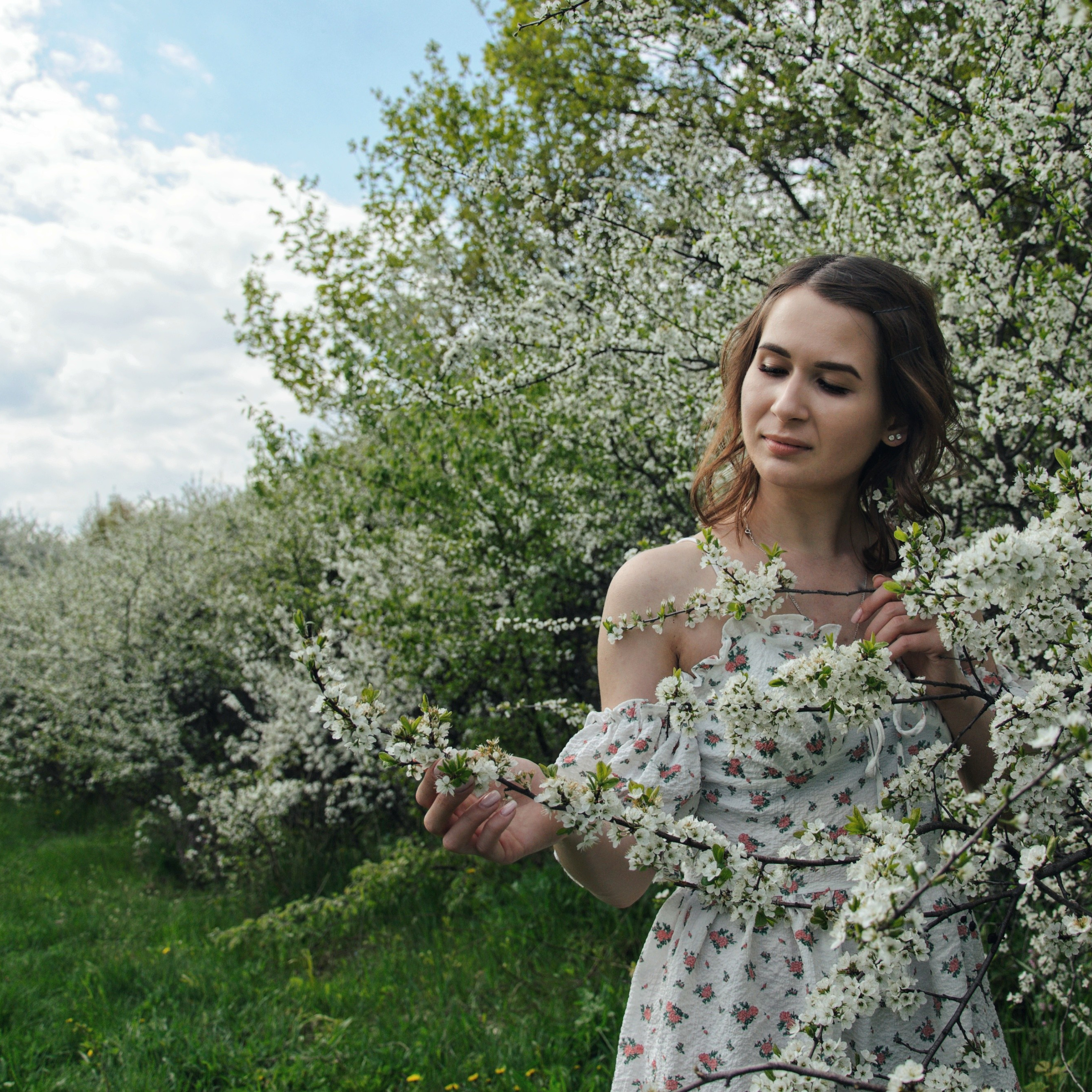 Цветущая Евгения, 1 час