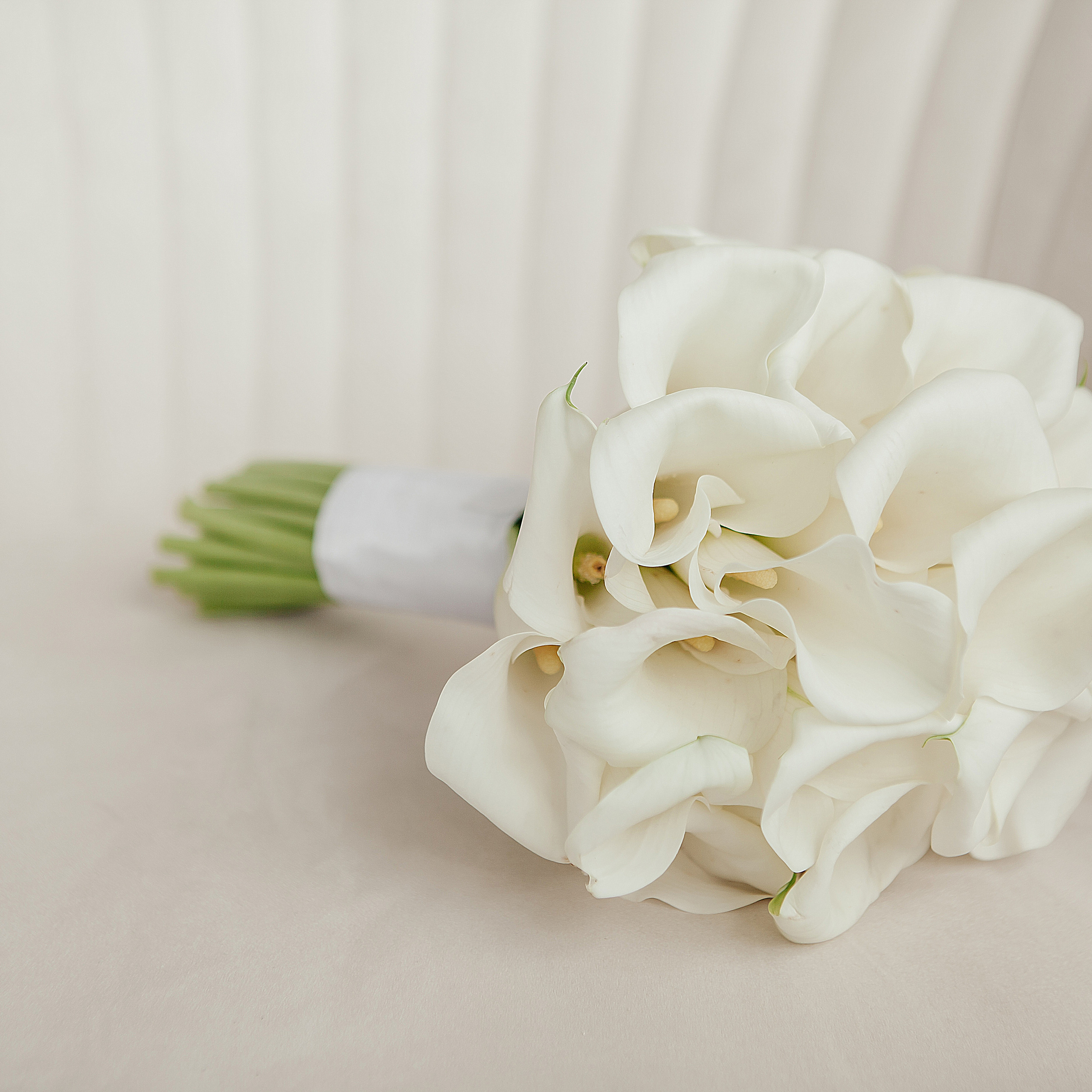 Отзывы. Семейный фотограф в Омске Самсонова Наталья