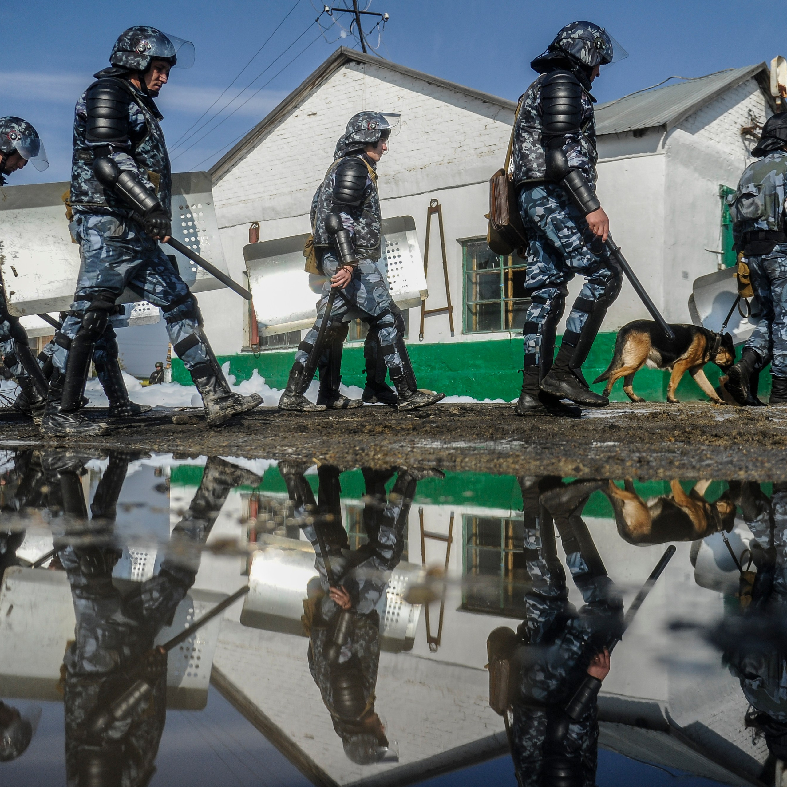 Россия. Новосибирская область. 1 октября 2015. Бойцы подразделений силовых структур во время тактико-специальной тренировки по массовому неповиновению осужденных на базе колонии-поселении 22 в Колыванском районе