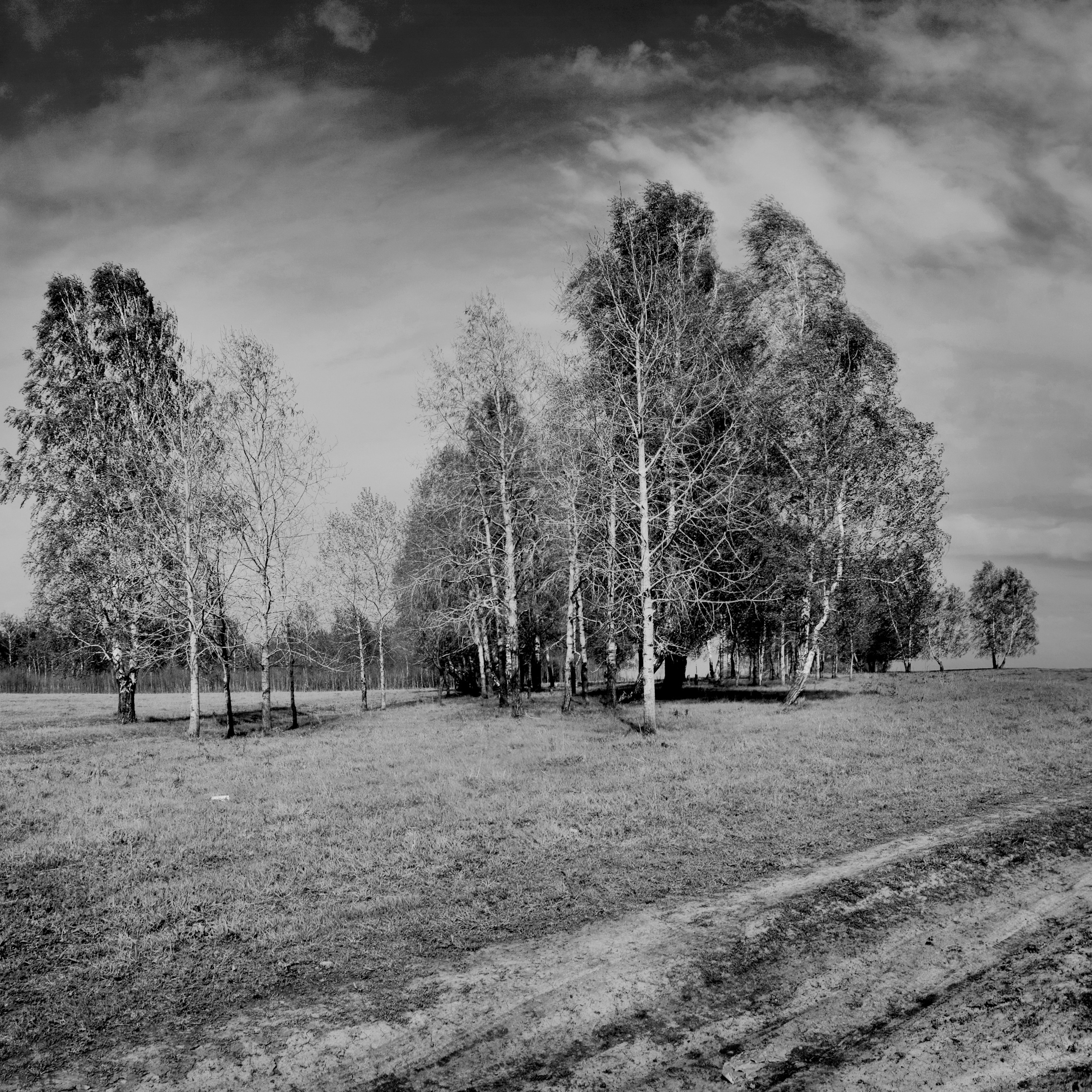 Темно-серые. 2006-20 10. Евгений Курсков