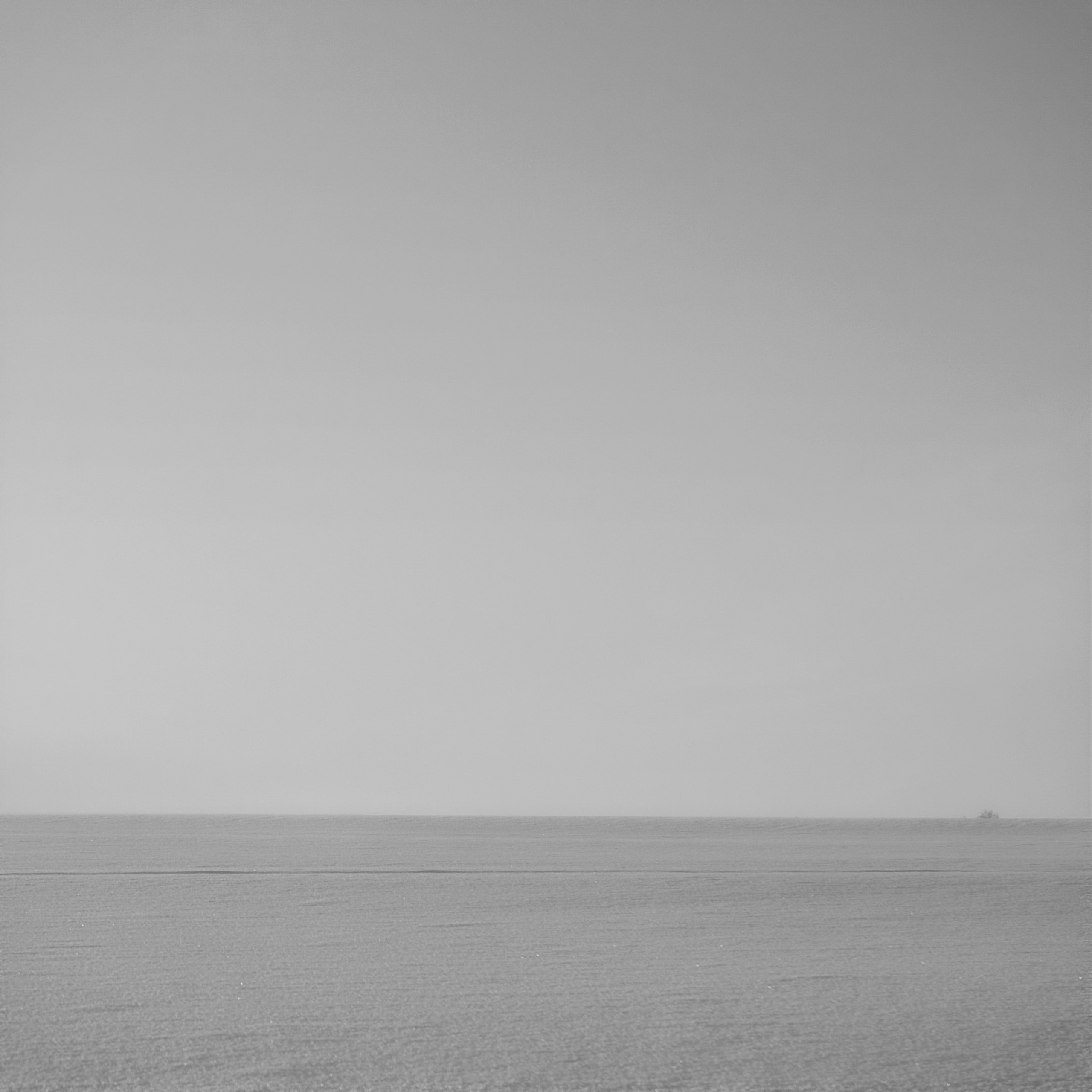 Белые. 2006-2010. Евгений Курсков