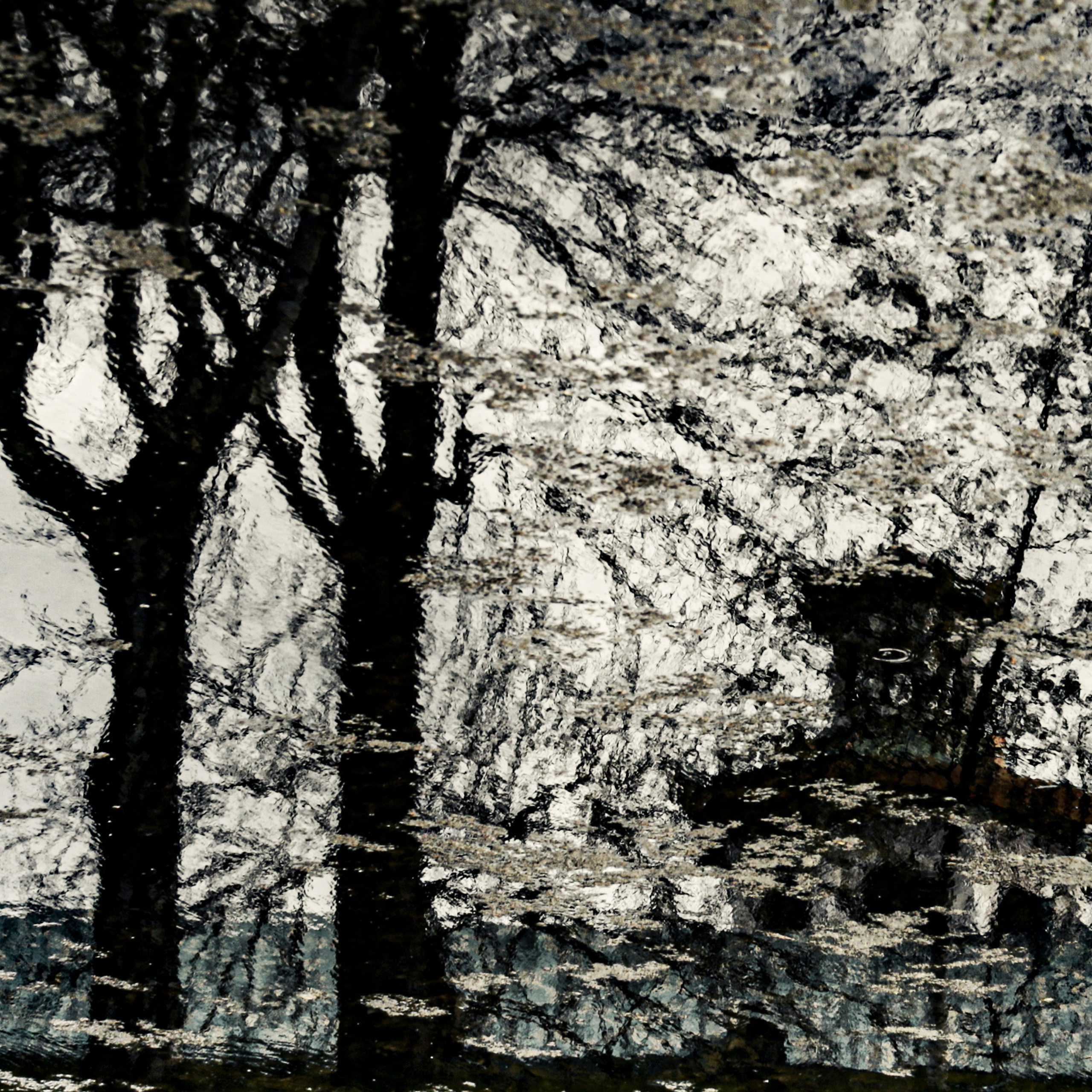 Colour. 2005-2025. Евгений Курсков