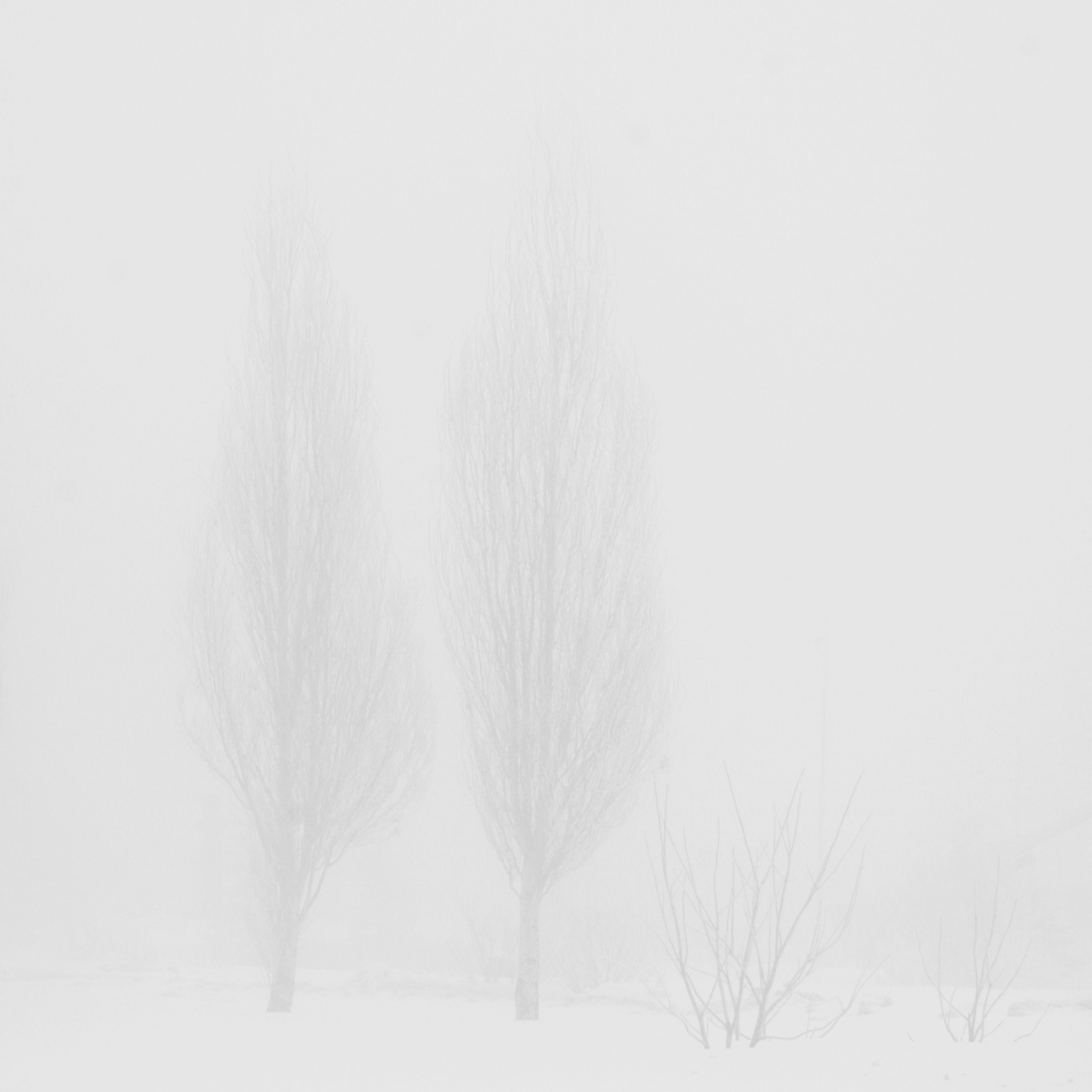 Белые. 2006-2010. Евгений Курсков