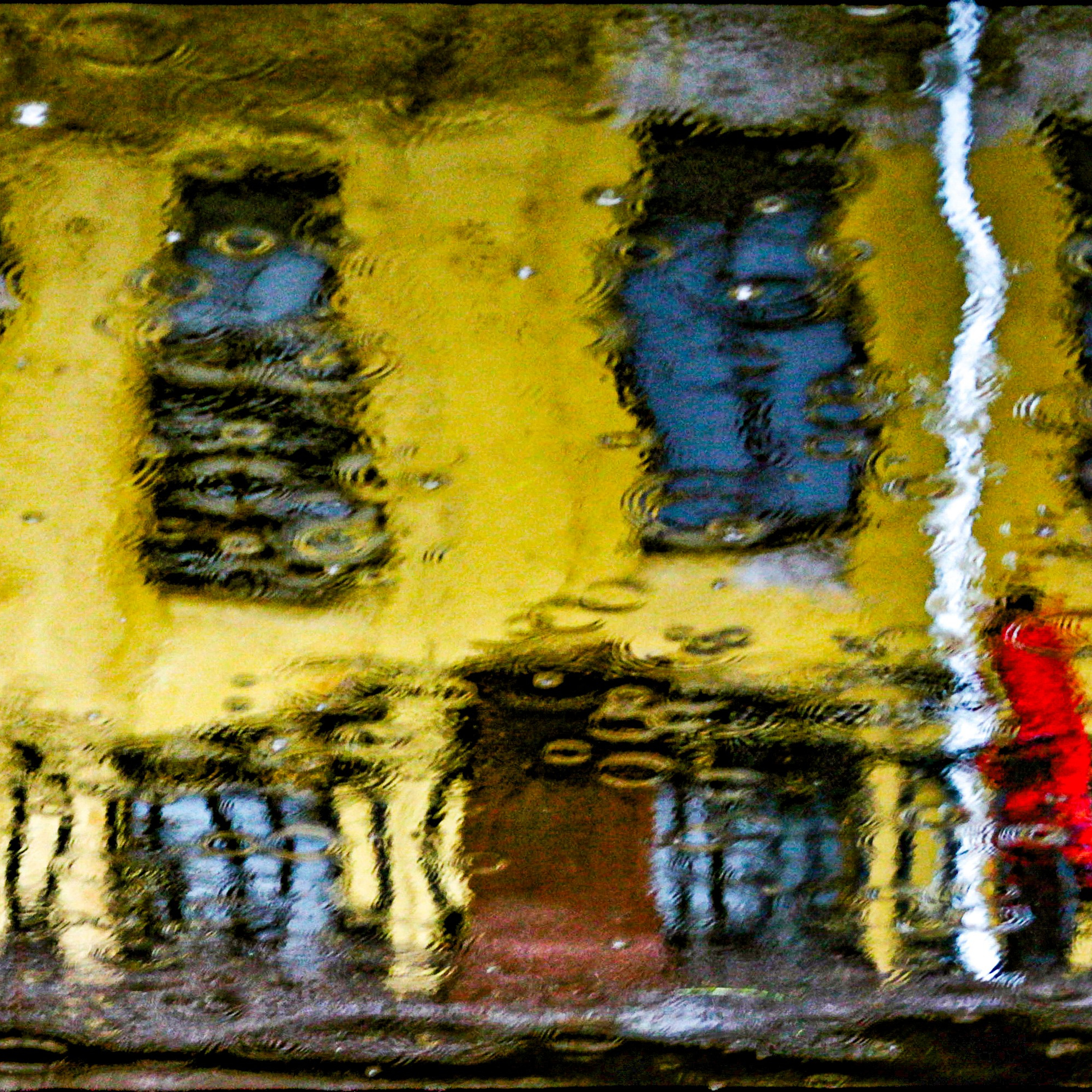 Colour. 2005-2025. Евгений Курсков