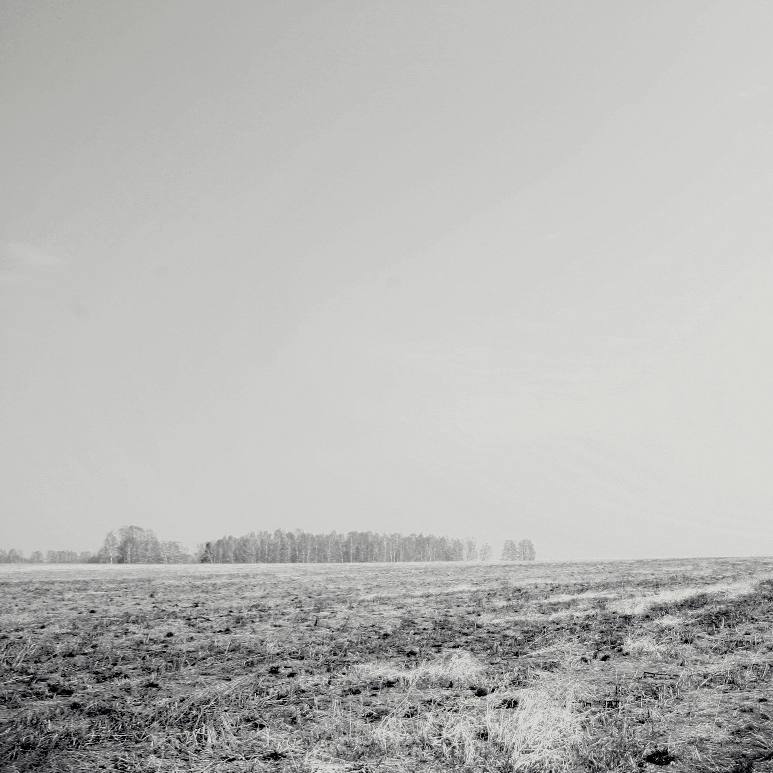 Темно-серые. 2006-20 10. Евгений Курсков