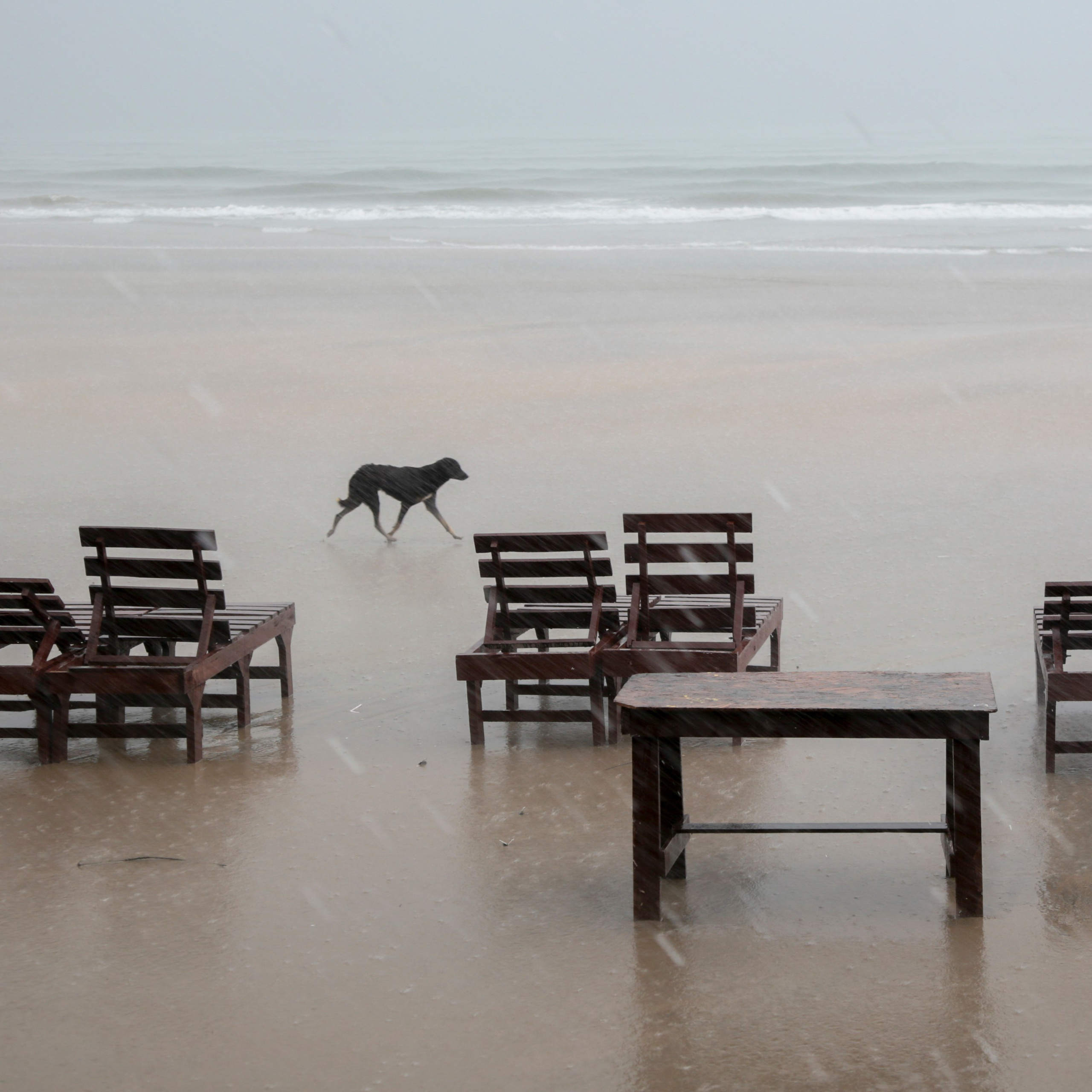 Colour. 2005-2025. Евгений Курсков