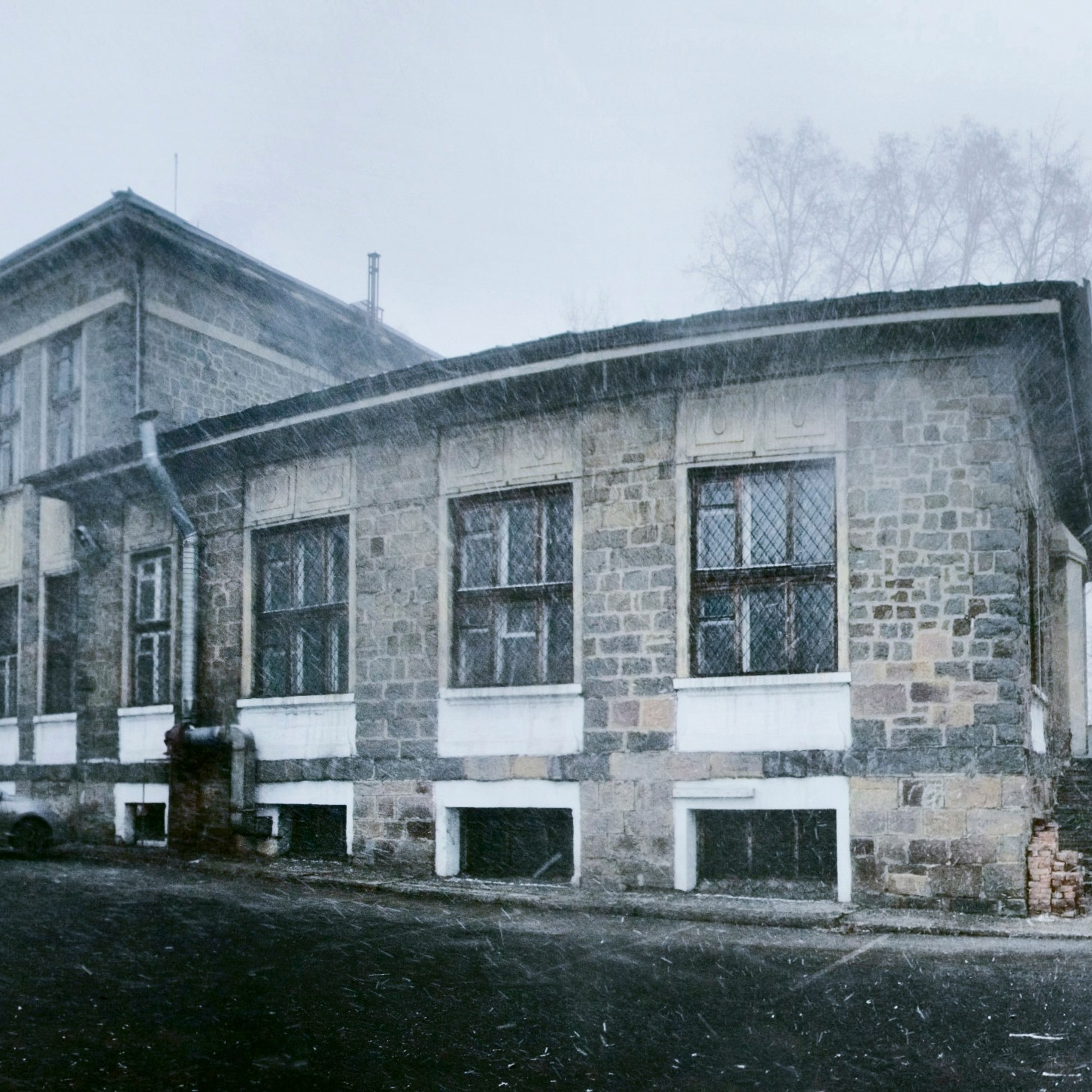 Colour. 2005-2025. Евгений Курсков