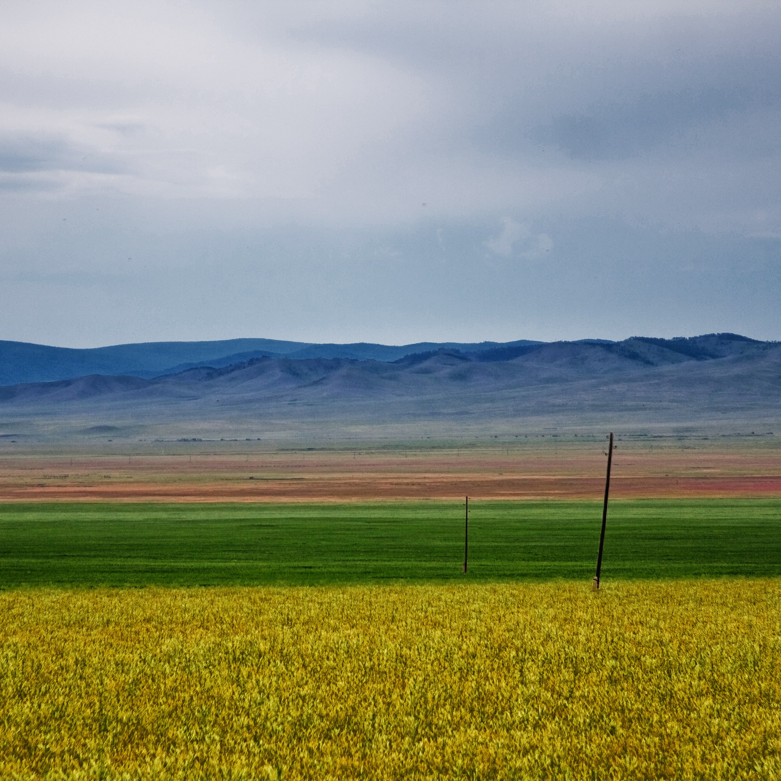 Colour. 2005-2025. Евгений Курсков