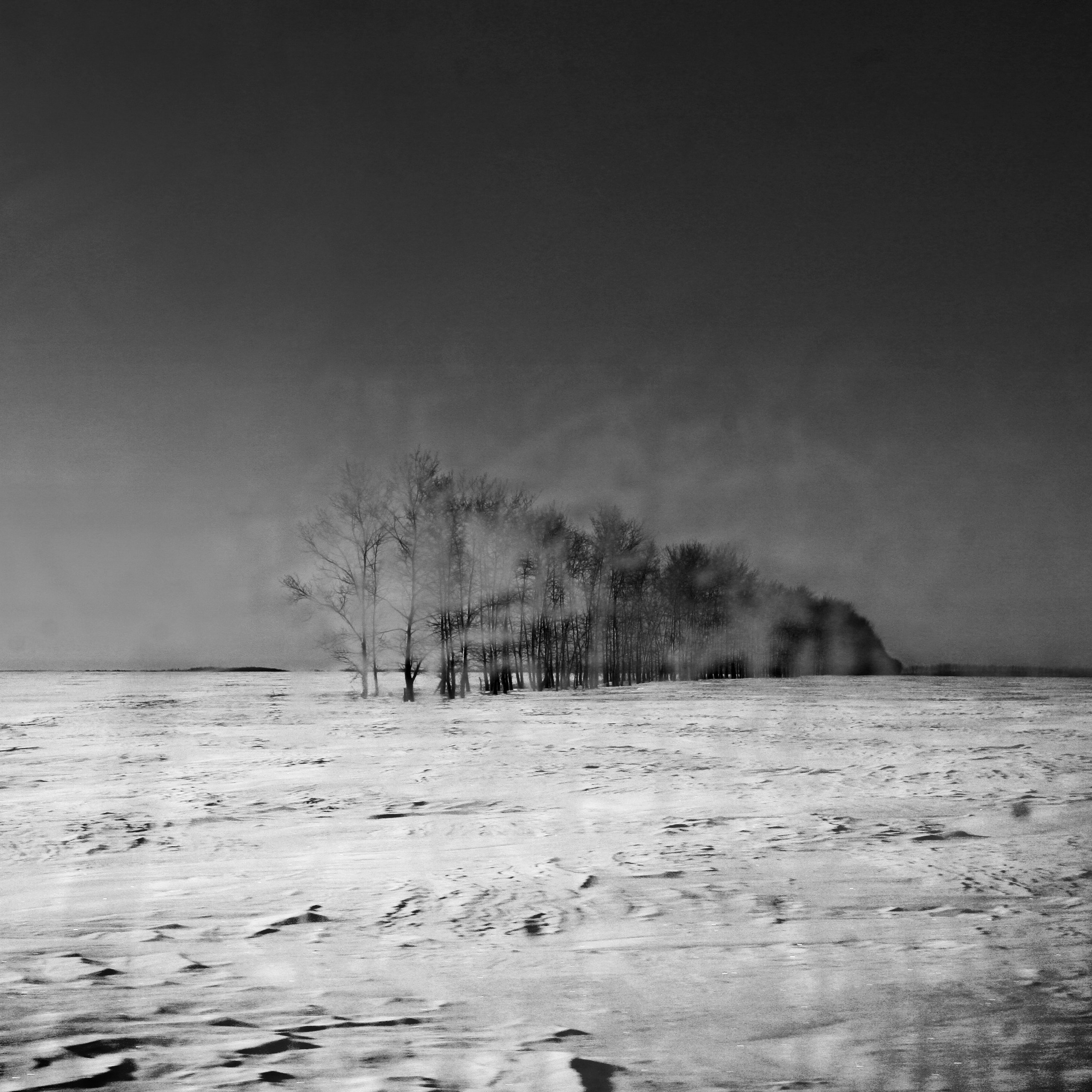 Белые. 2006-2010. Евгений Курсков