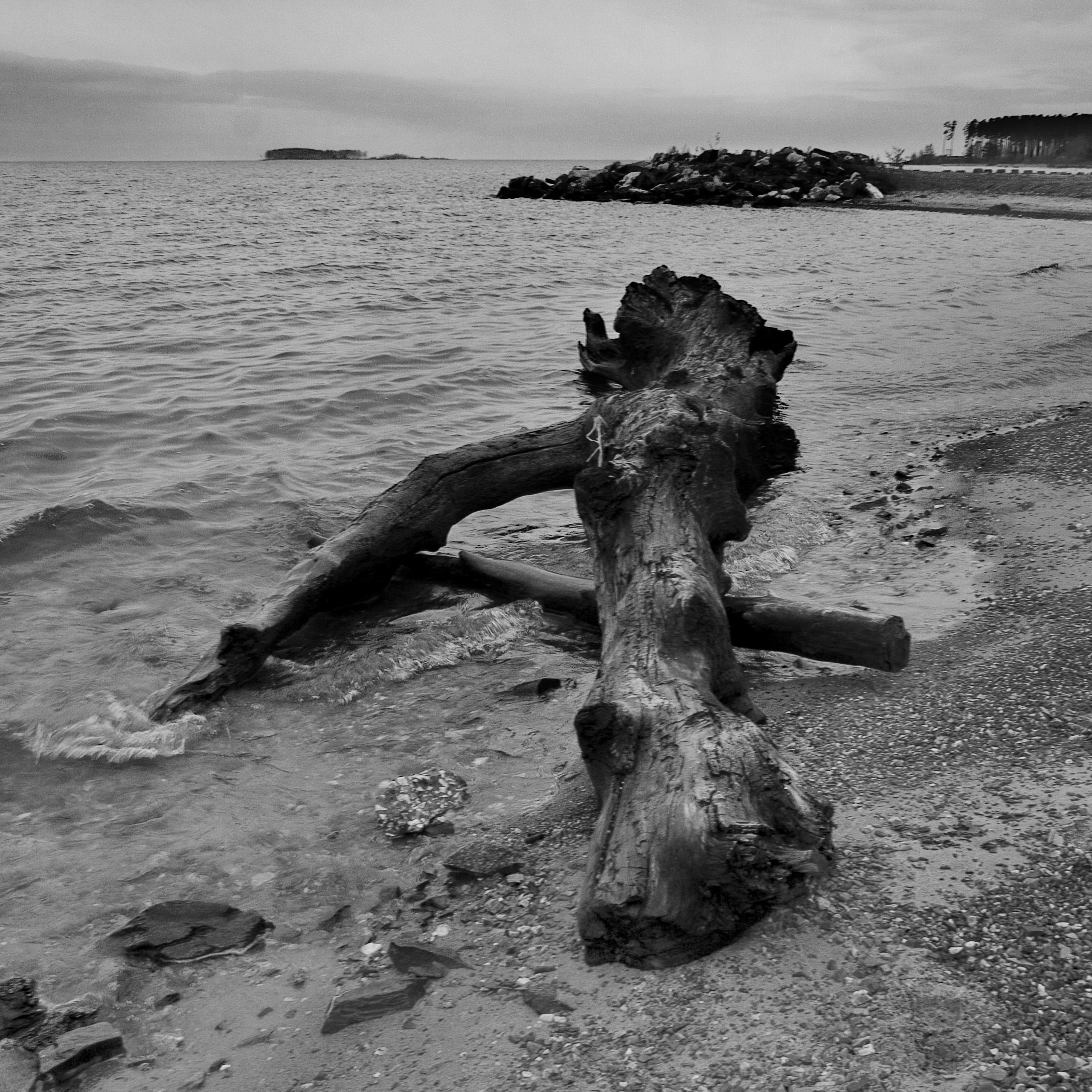 Темно-серые. 2006-20 10. Евгений Курсков