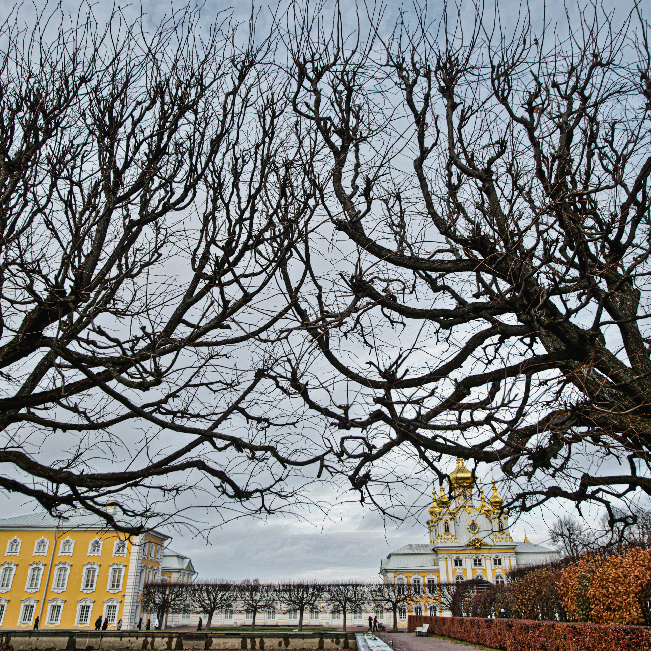Colour. 2005-2025. Евгений Курсков