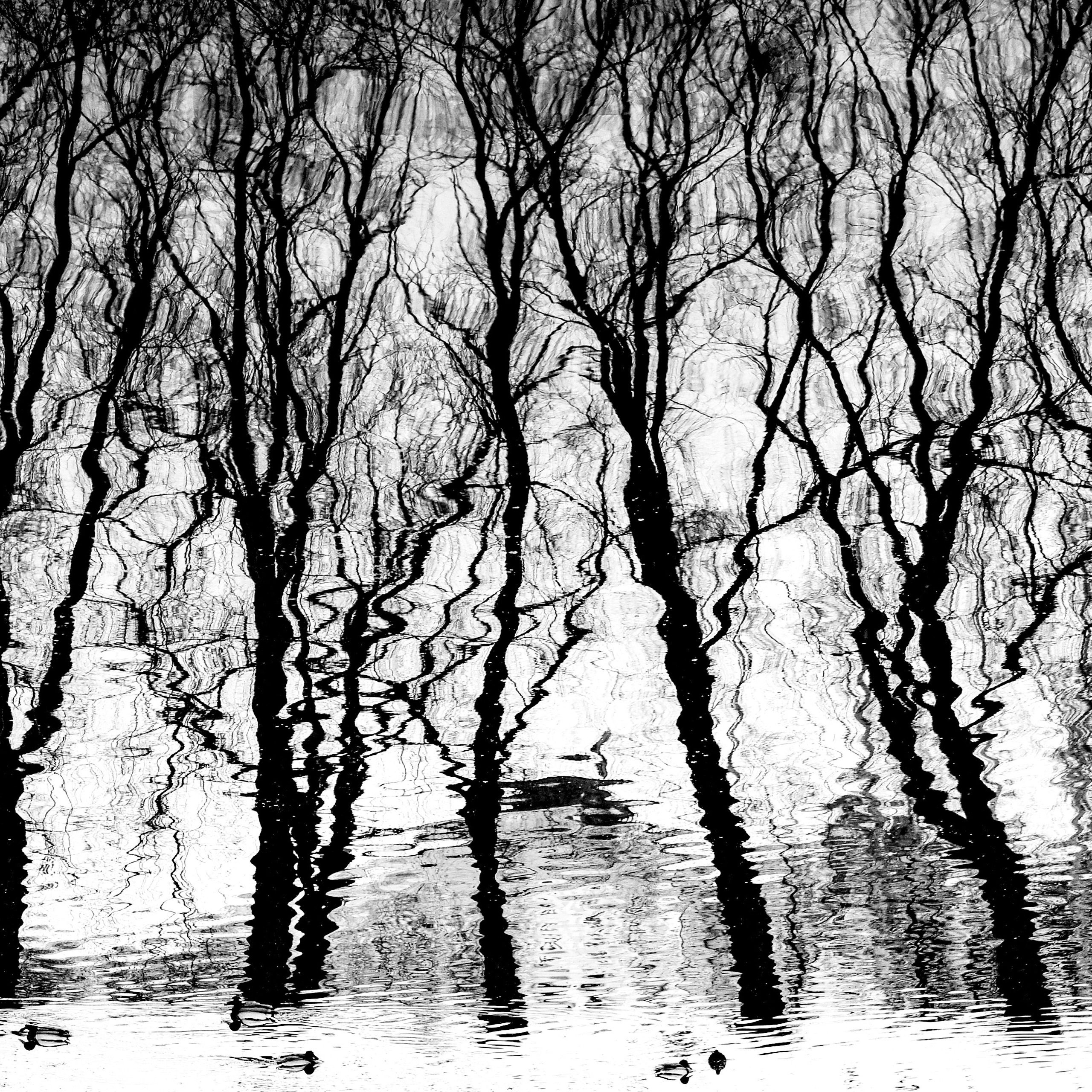 BW. 2003-2025. Евгений Курсков