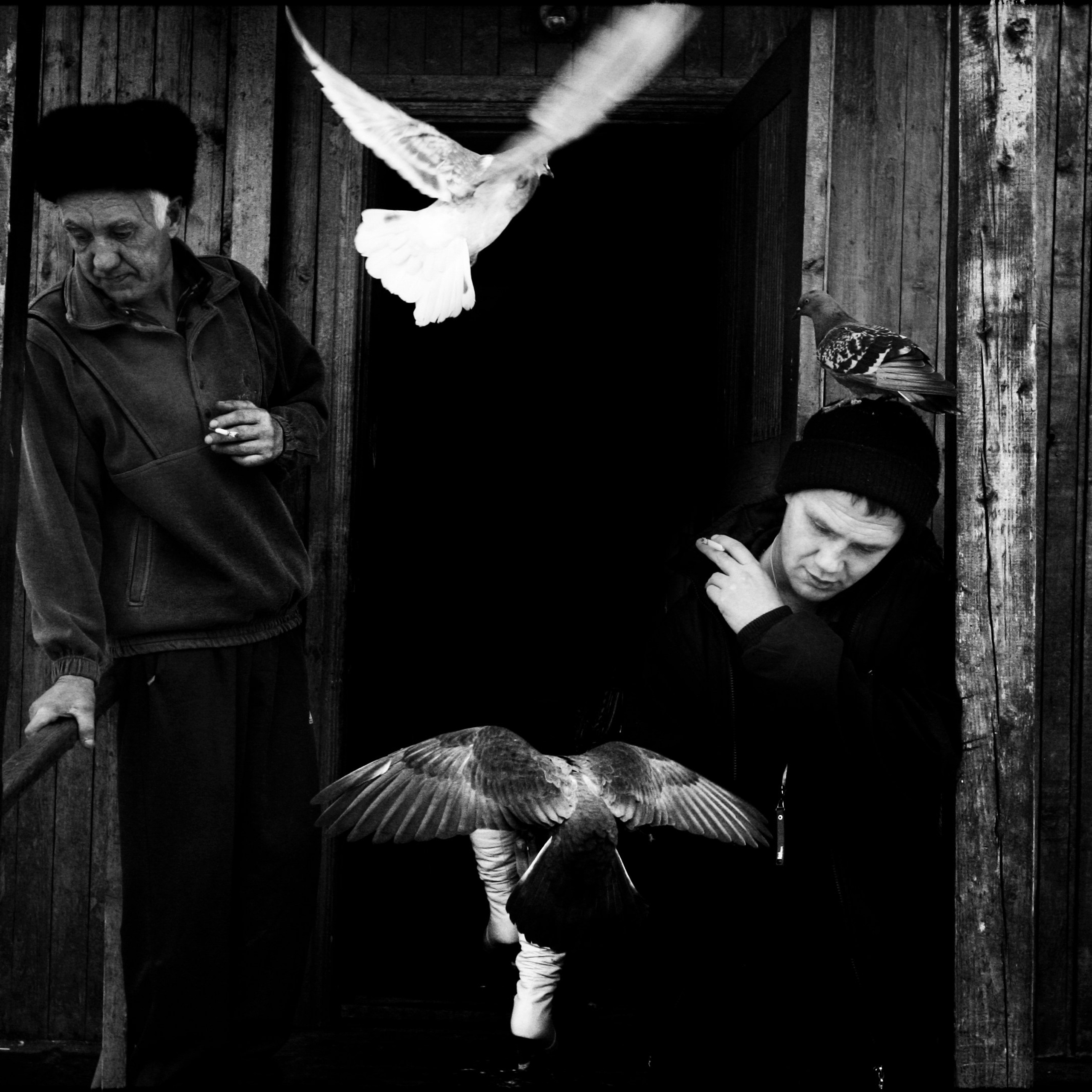 BW. 2009-2014. Евгений Курсков