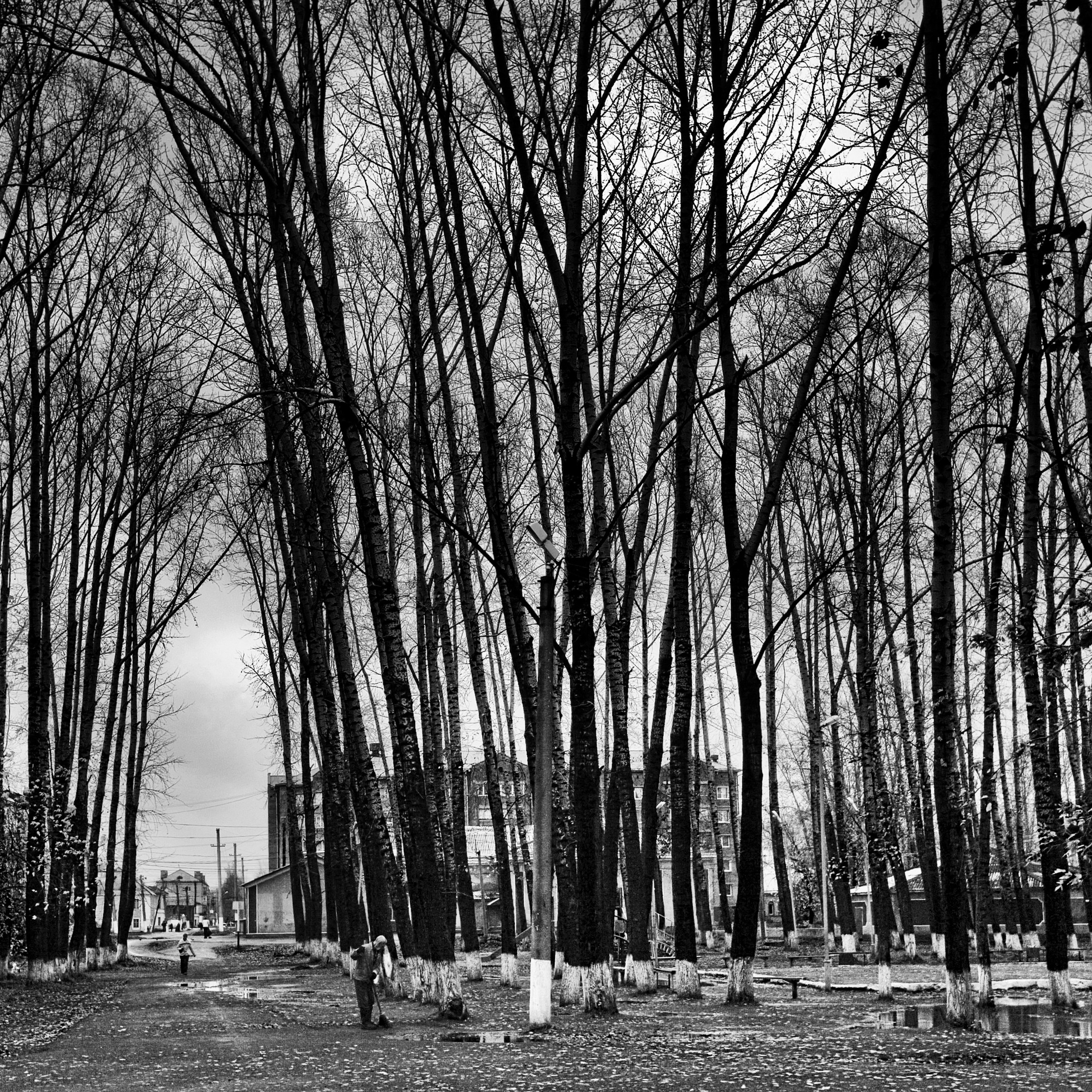 BW. 2003-2025. Евгений Курсков