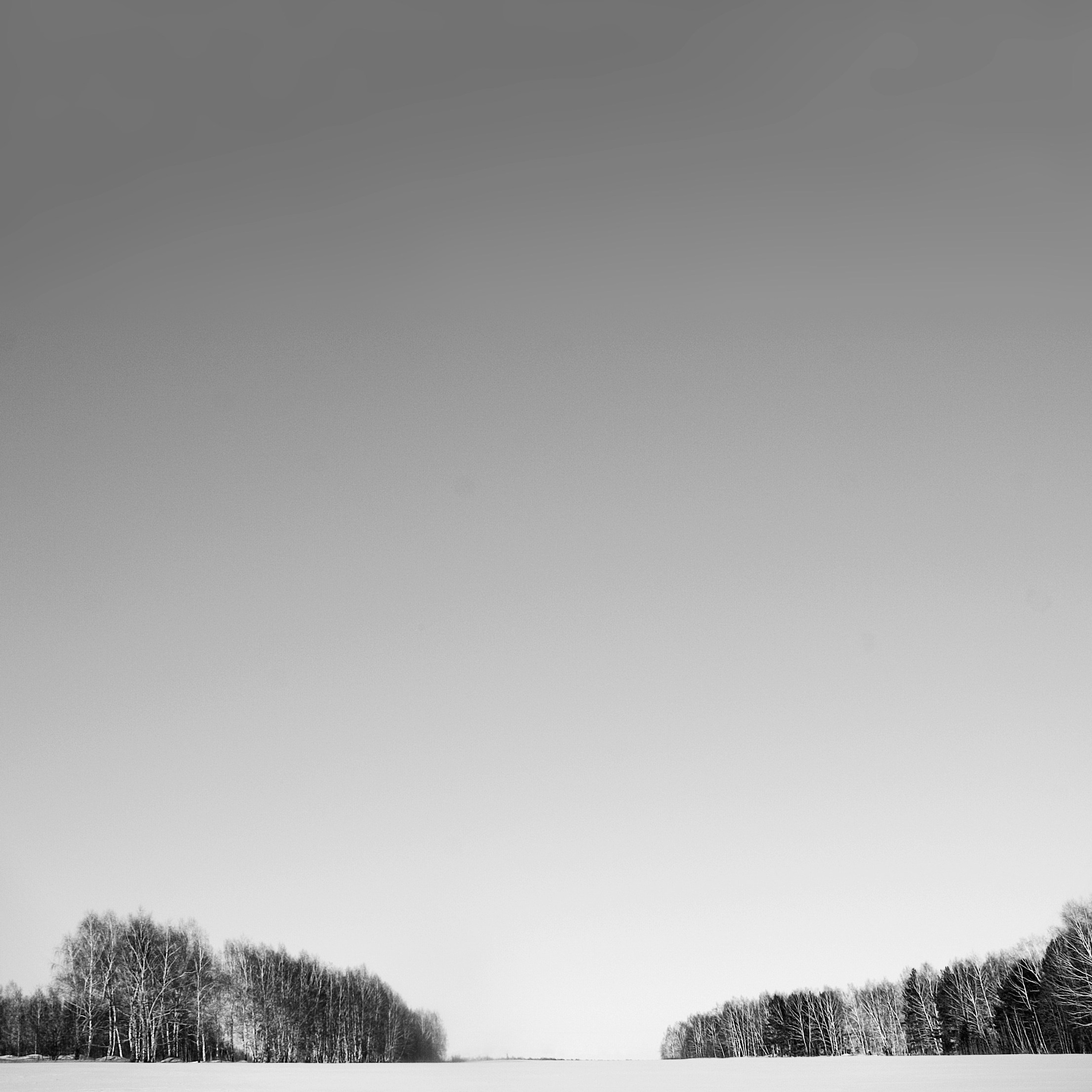 Белые. 2006-2010. Евгений Курсков