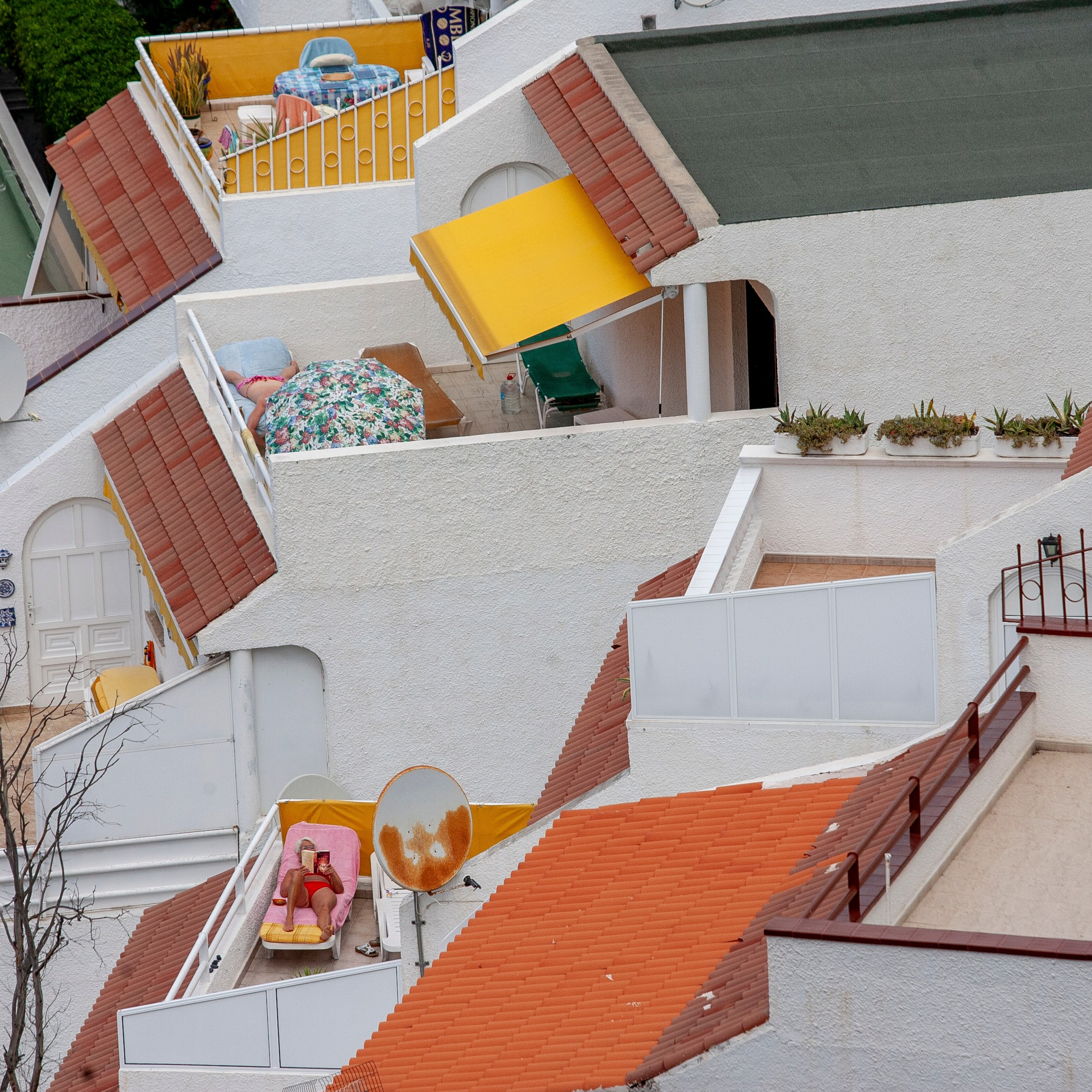 Канары. 2010. Евгений Курсков