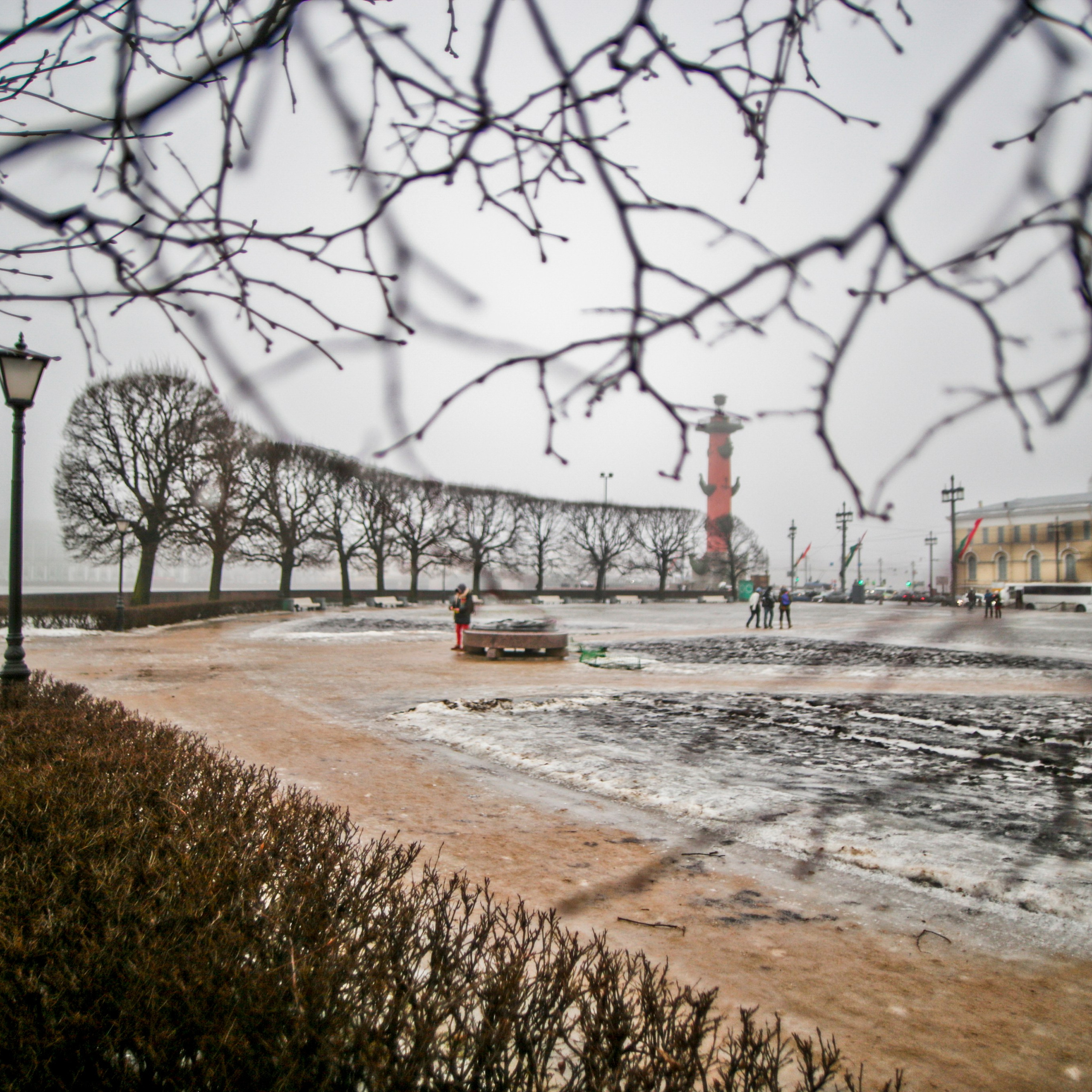 Colour. 2005-2025. Евгений Курсков