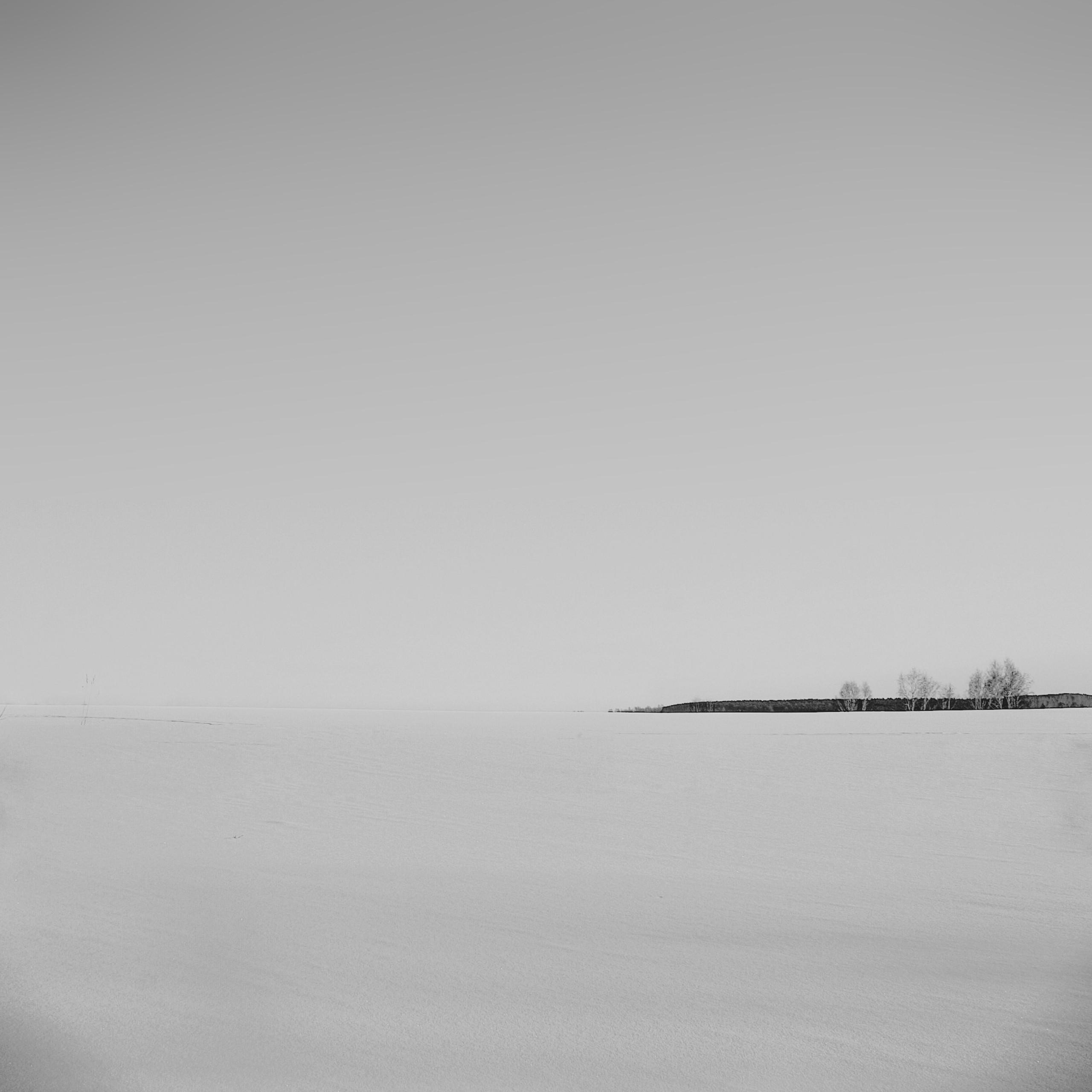 Белые. 2006-2010. Евгений Курсков