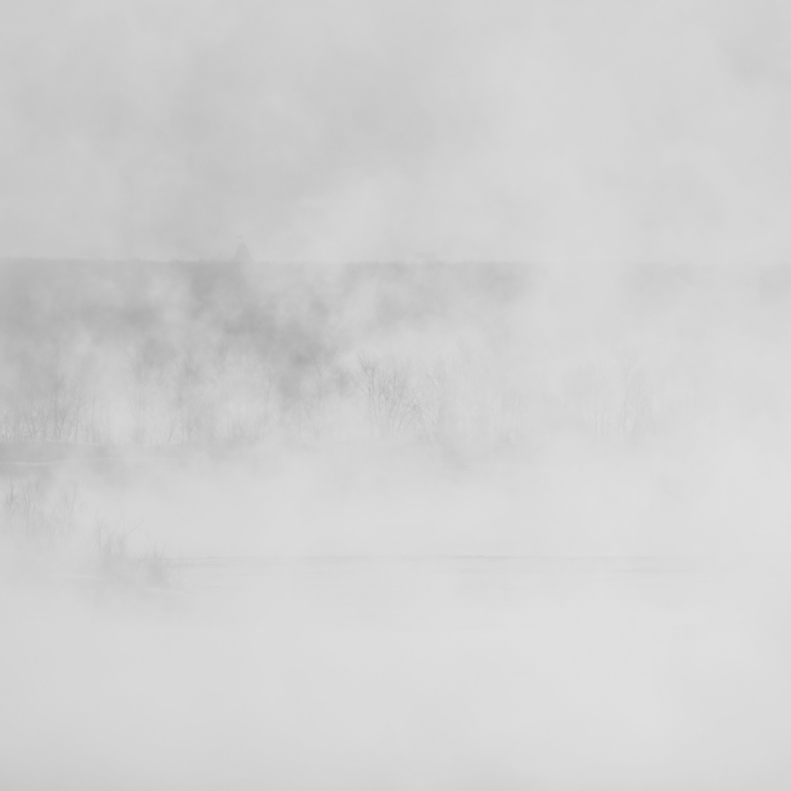 BW. 2003-2025. Евгений Курсков