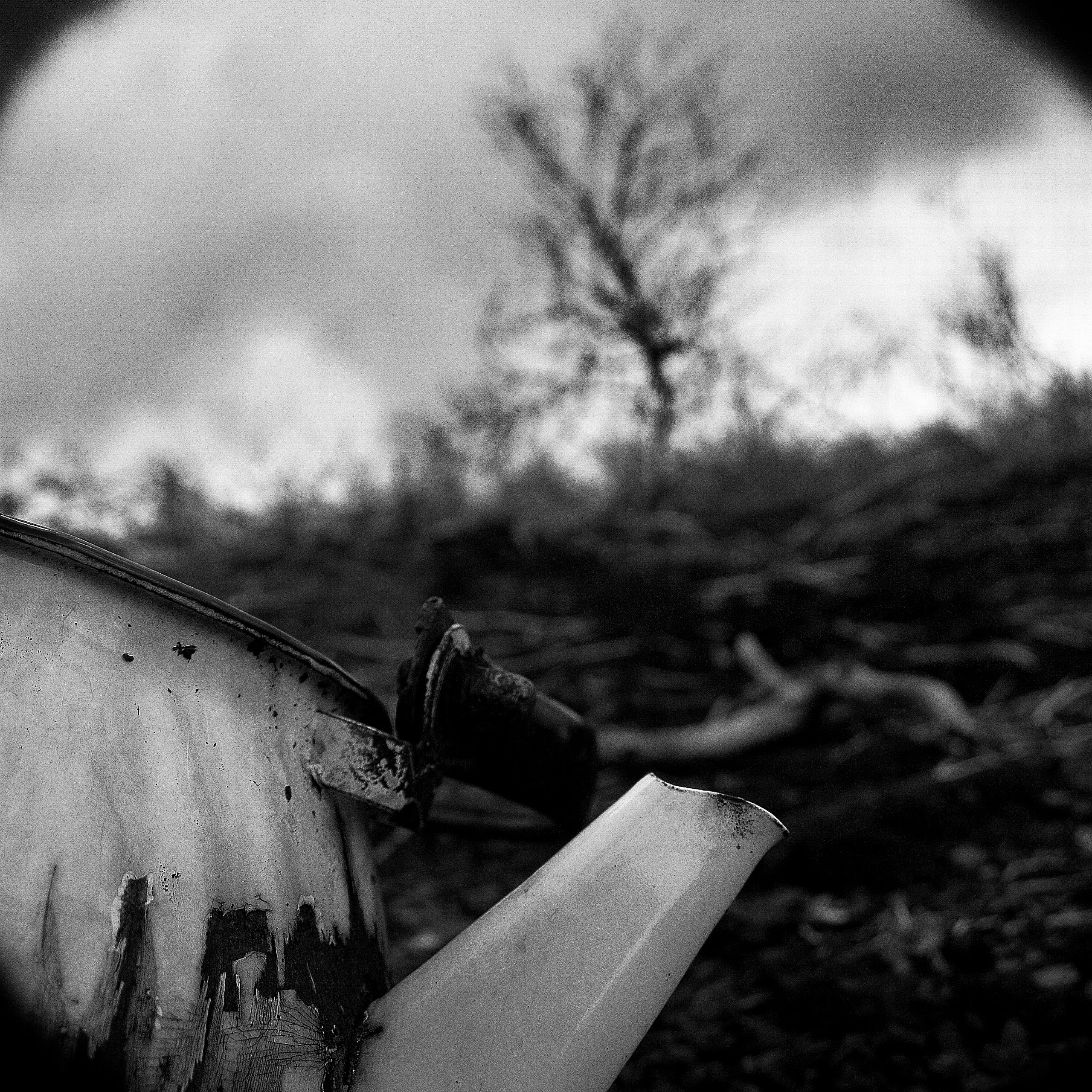 Темно-серые. 2006-20 10. Евгений Курсков