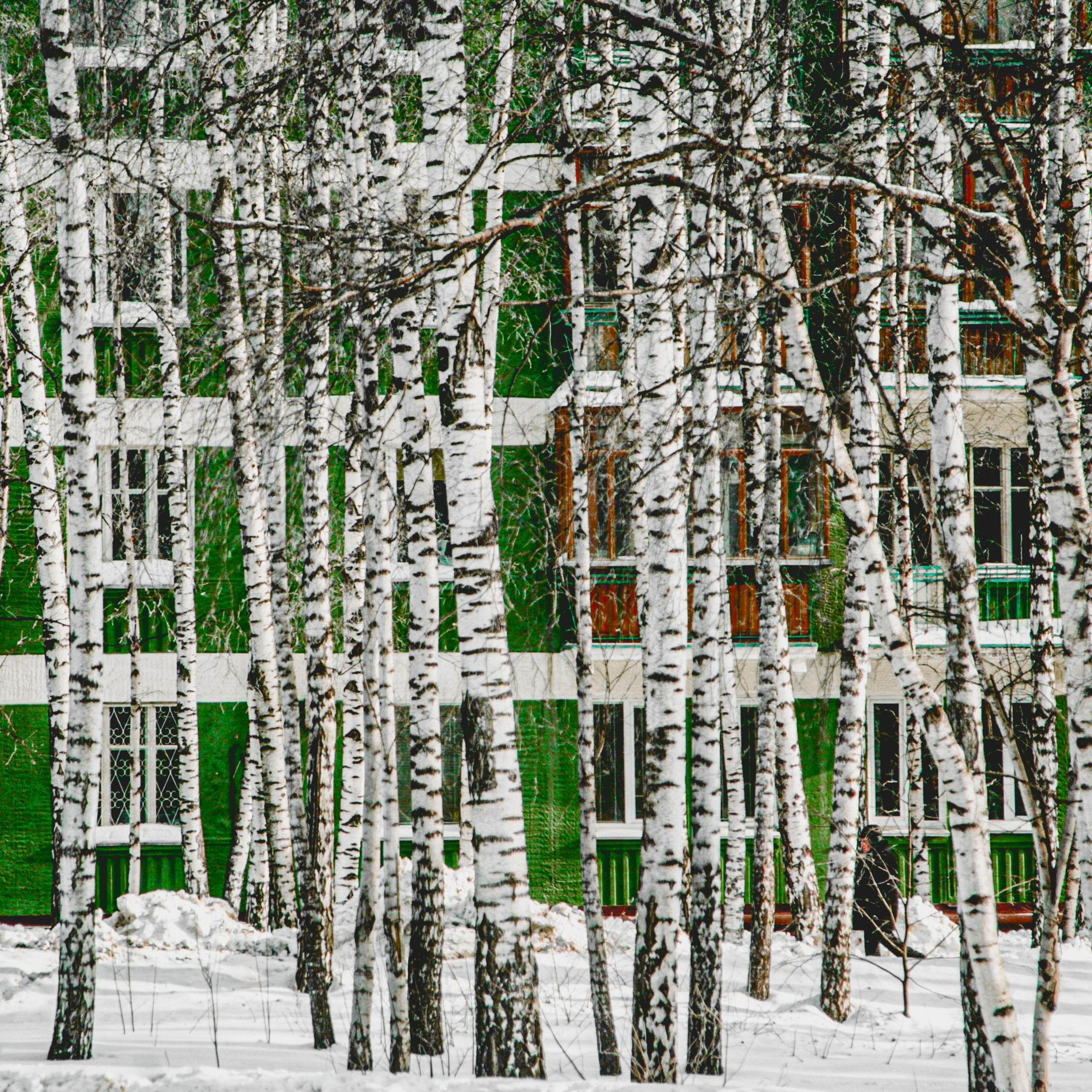 Colour. 2005-2025. Евгений Курсков