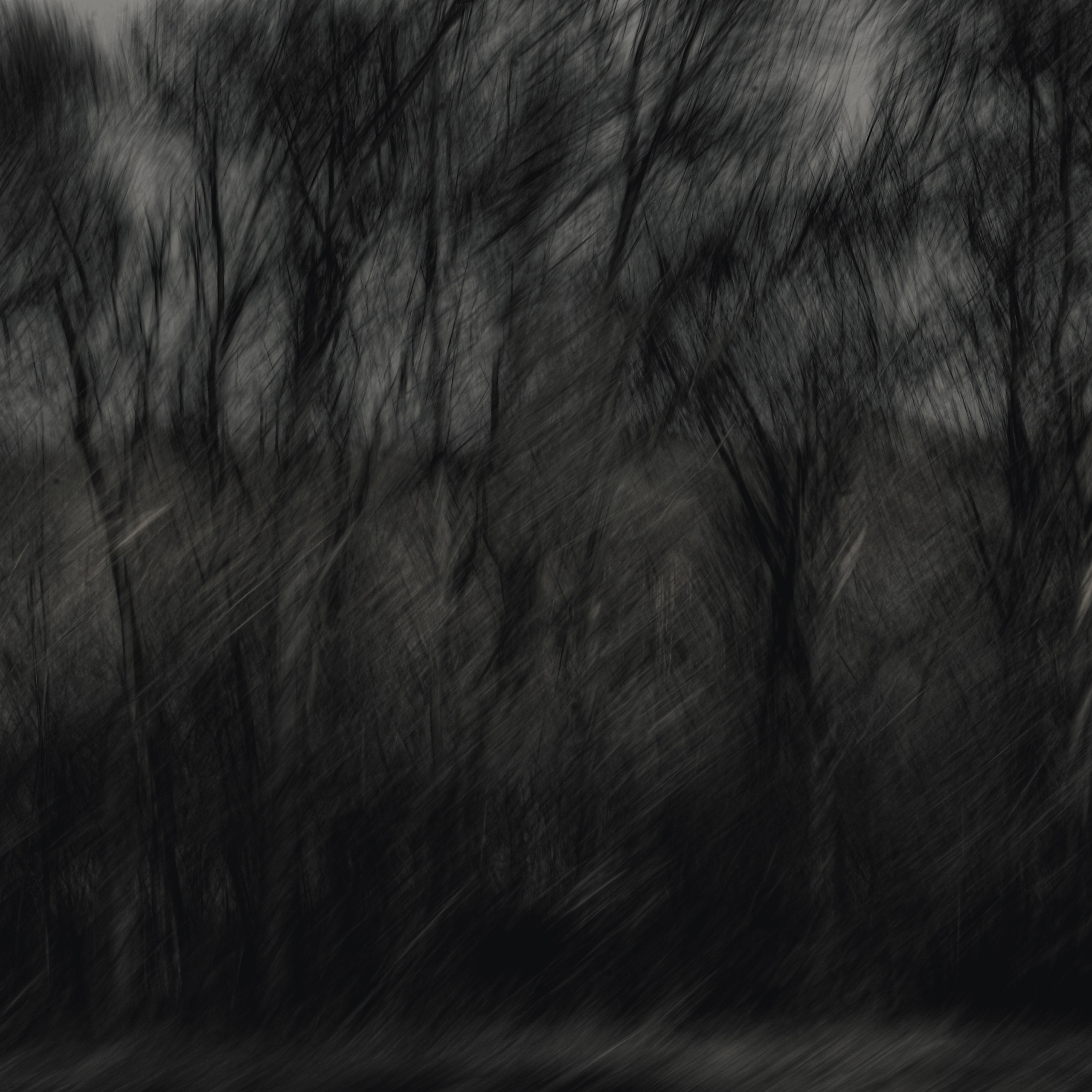 Not For Us. 2025. Евгений Курсков