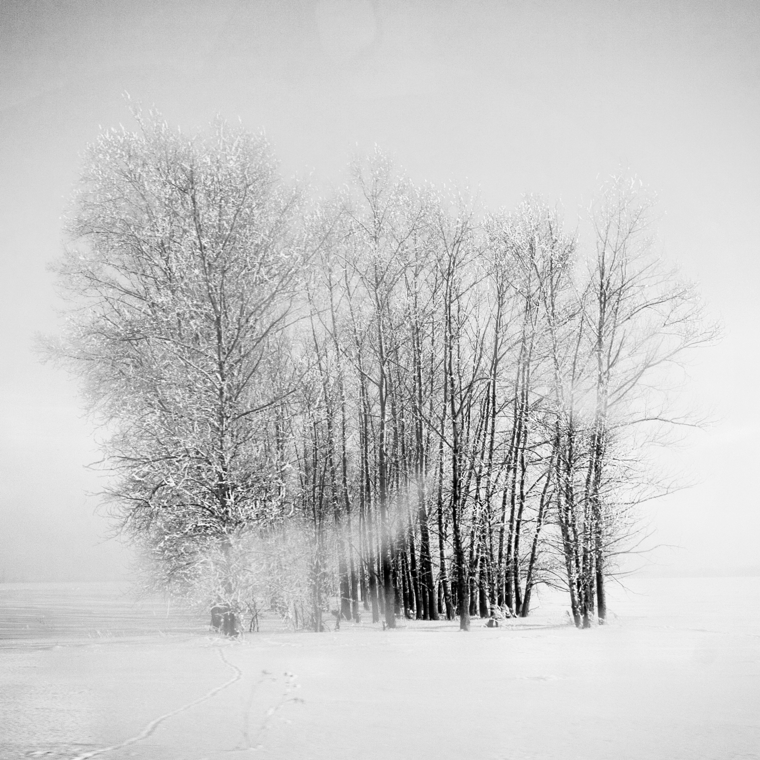 Белые. 2006-2010. Евгений Курсков