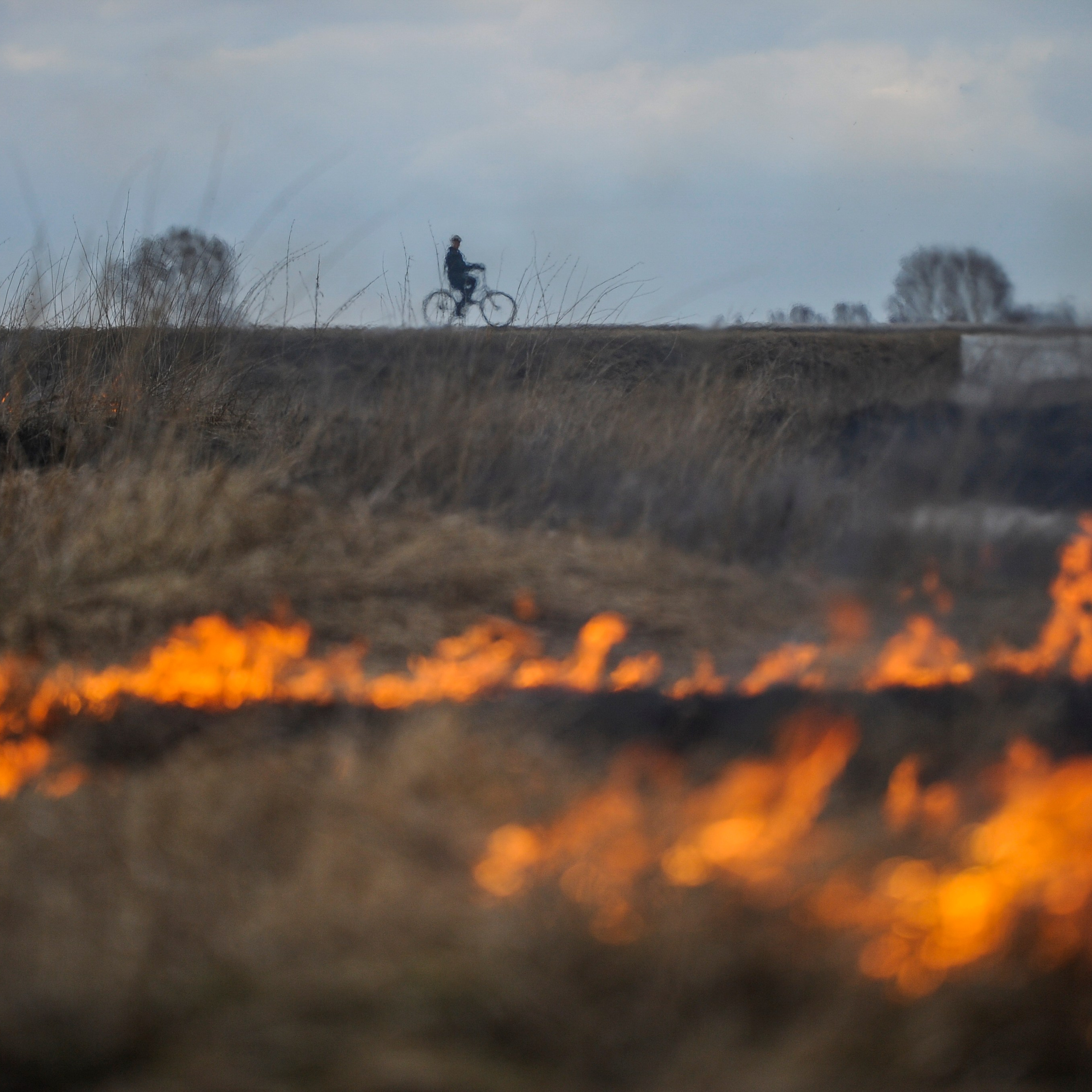 Россия. Новосибирская область. 16 апреля 2015. Велосипедист едет по дороге во время ландшафтного пожара.