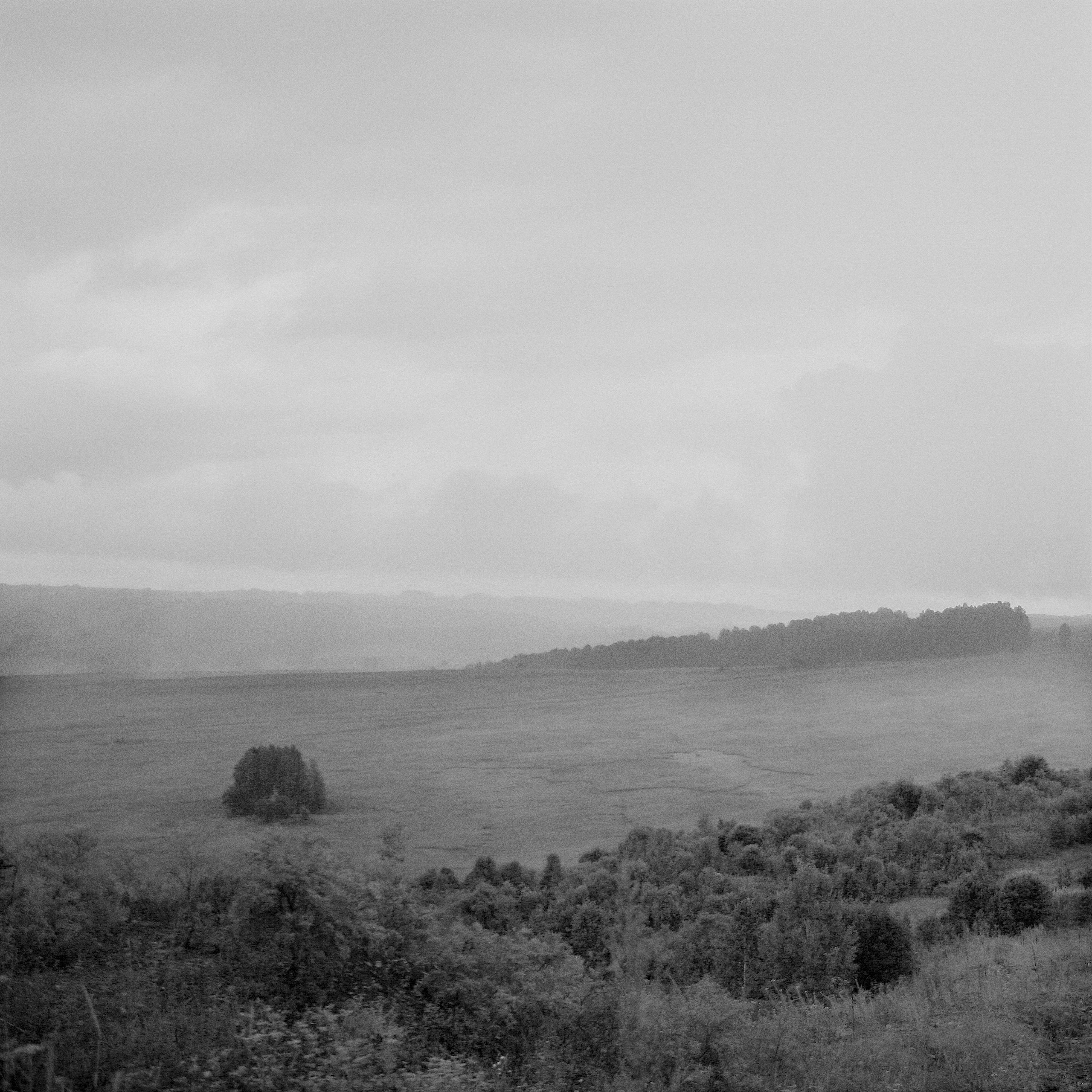 Темно-серые. 2006-20 10. Евгений Курсков