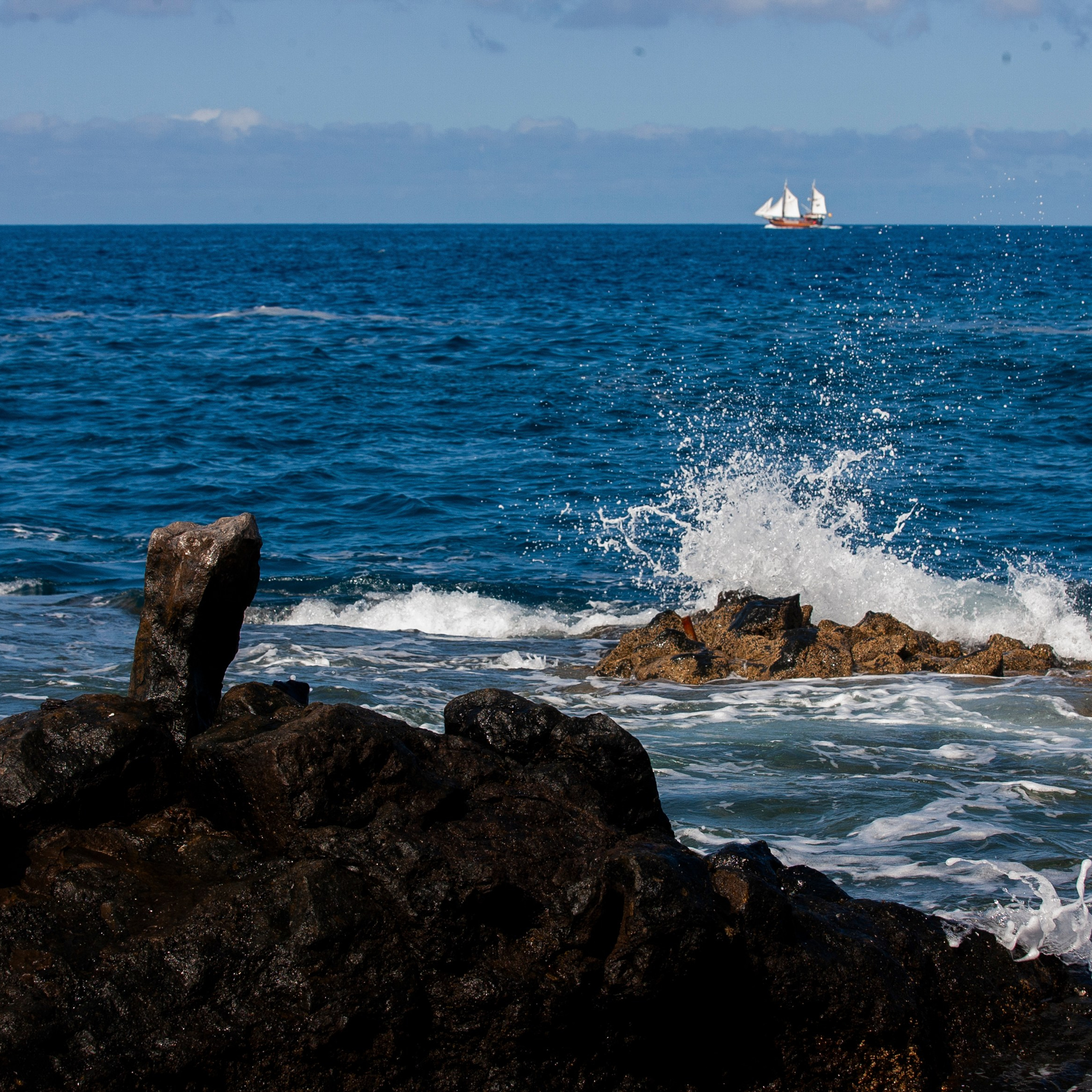 Канары. 2010. Евгений Курсков