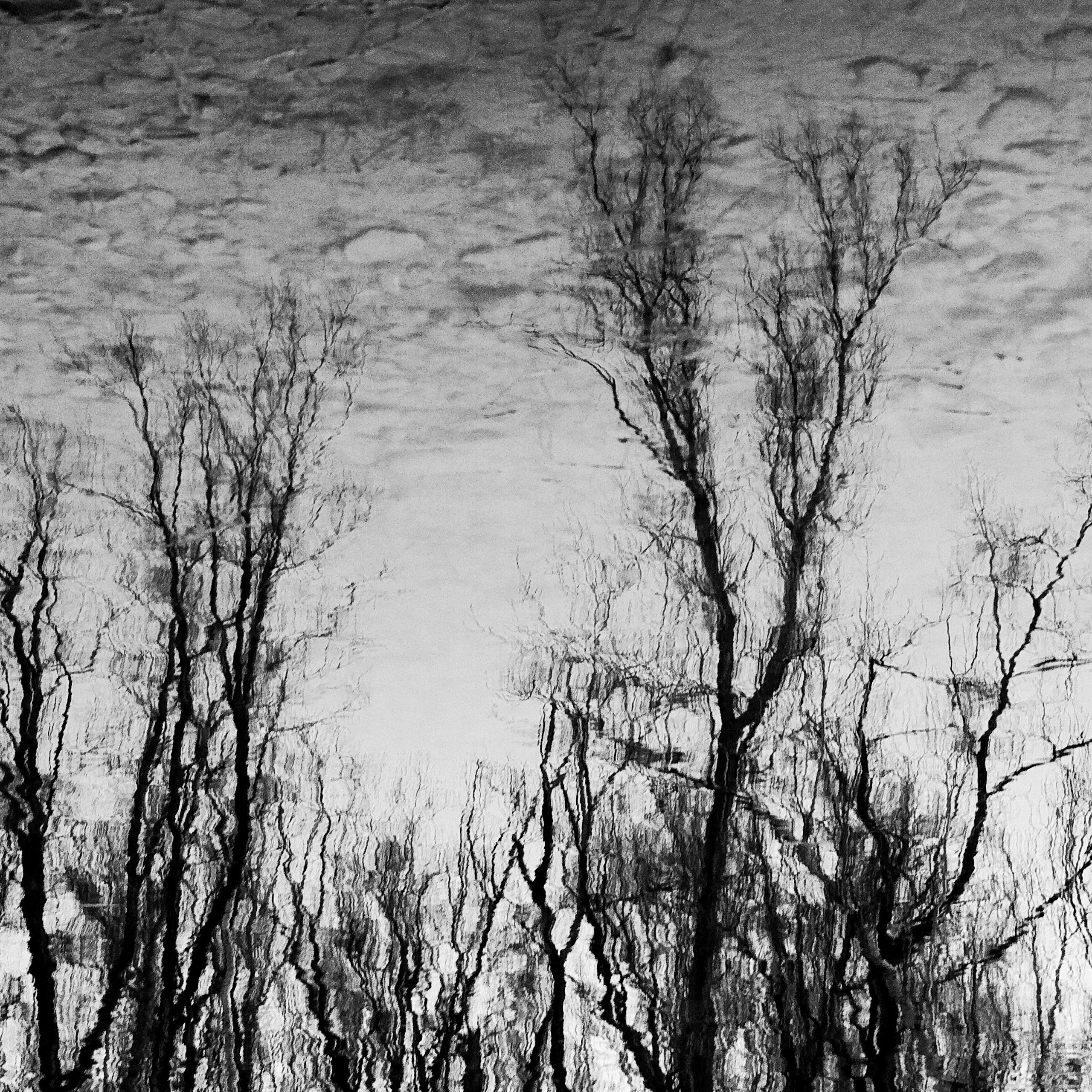 BW. 2003-2025. Евгений Курсков