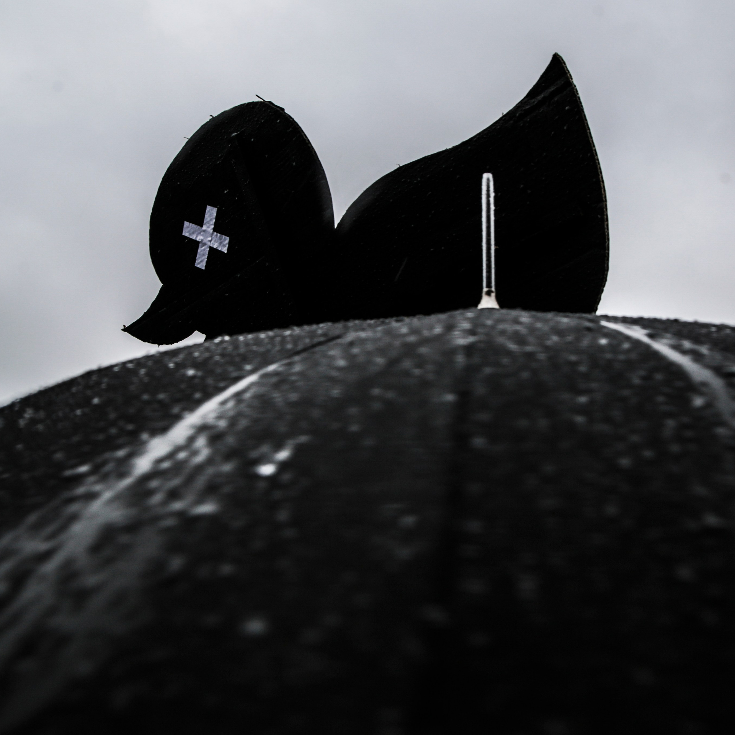 Протесты в России. 2017. Евгений Курсков