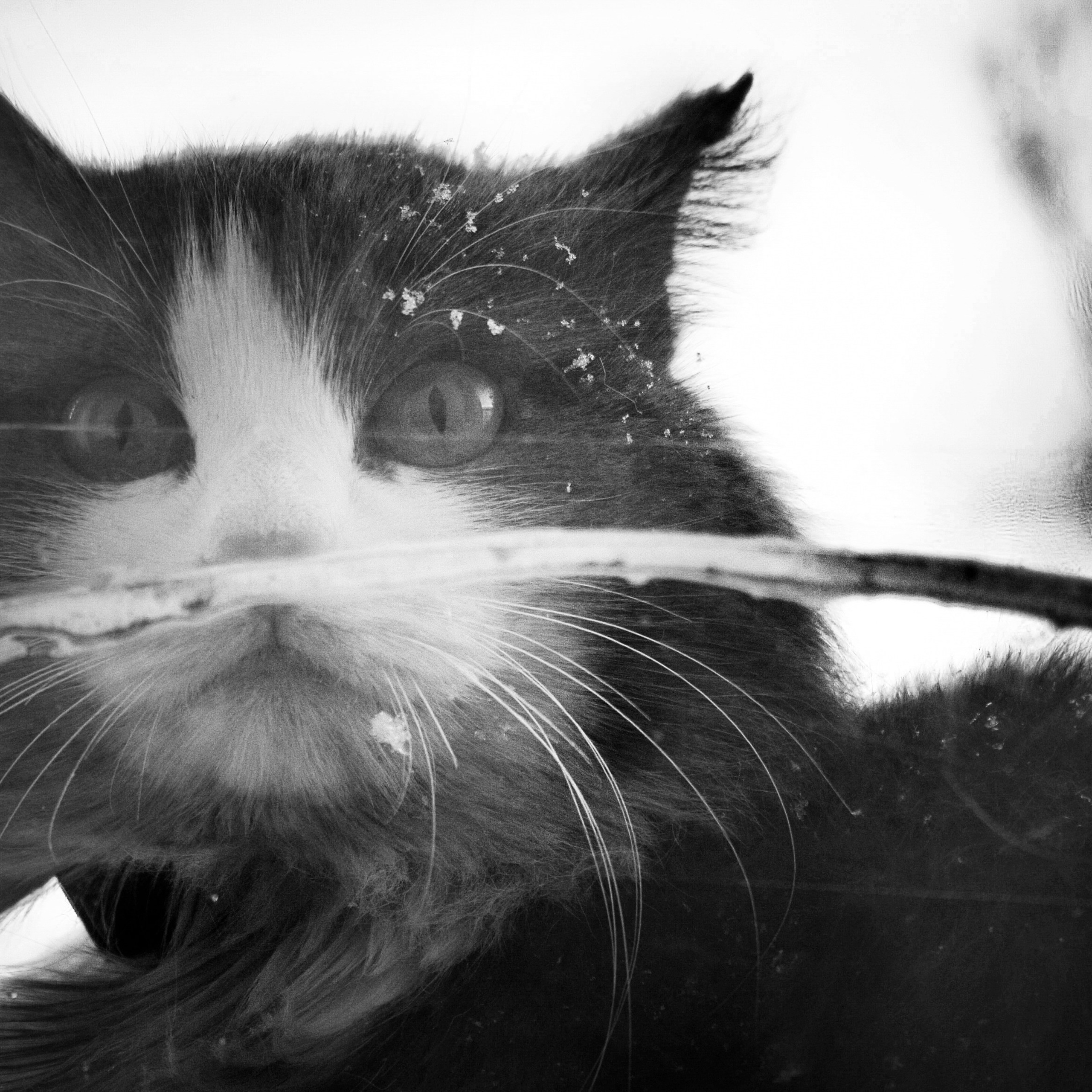 BW. 2003-2025. Евгений Курсков