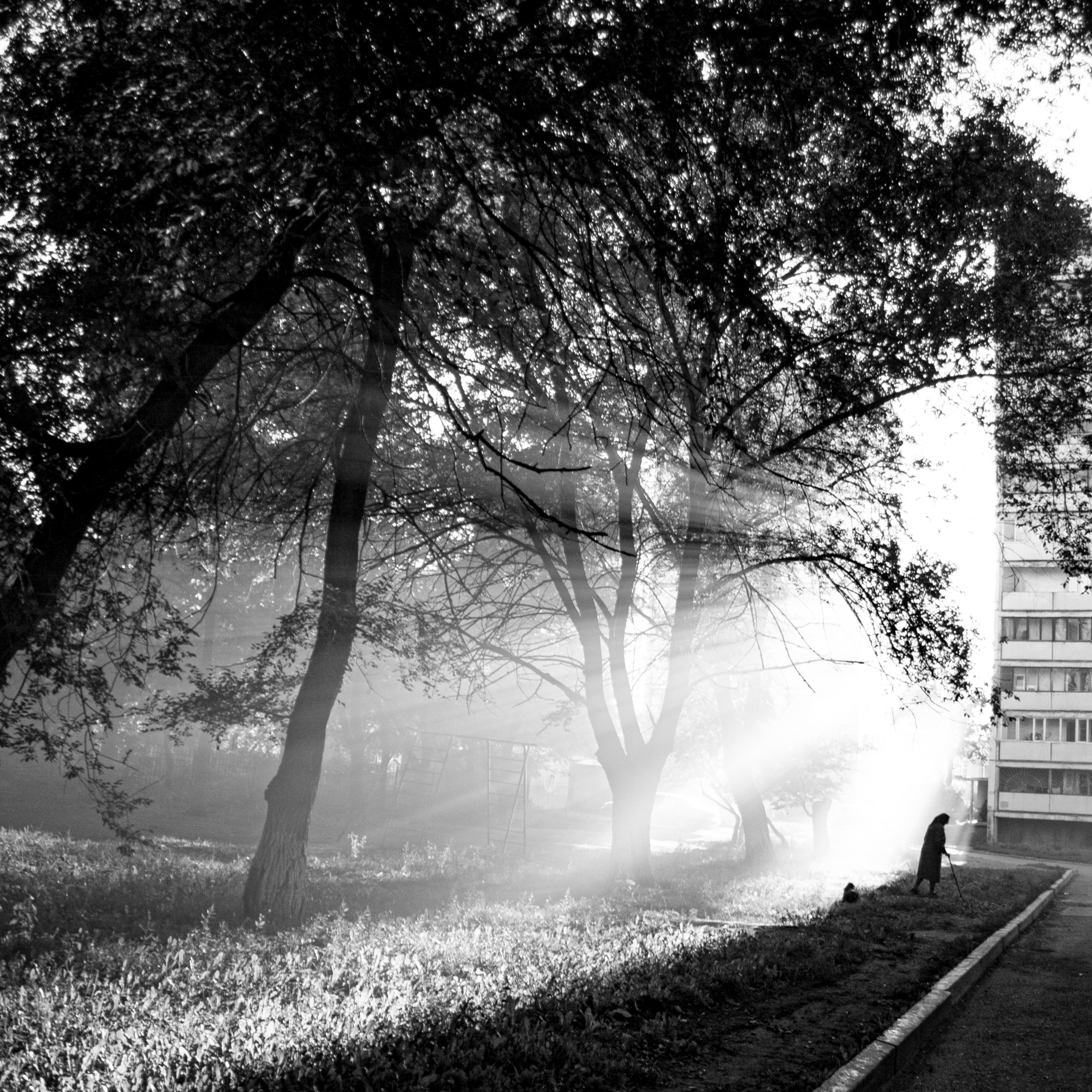 BW. 2003-2025. Евгений Курсков