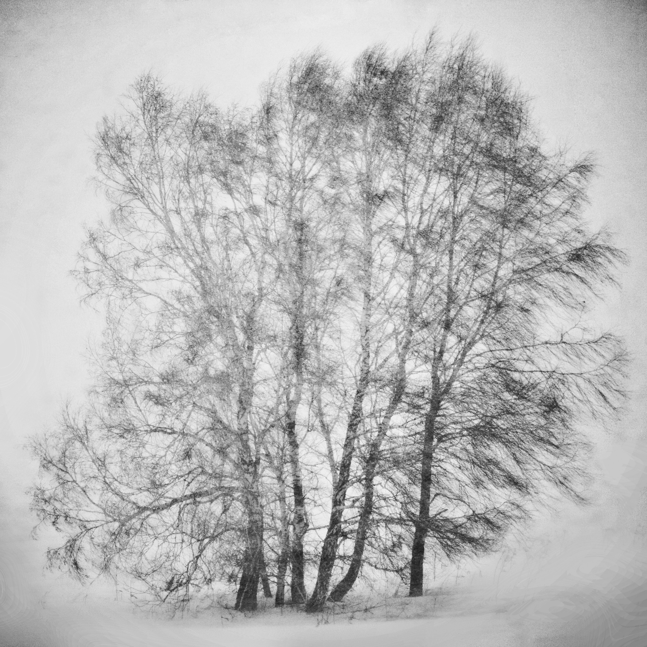 Белые. 2006-2010. Евгений Курсков