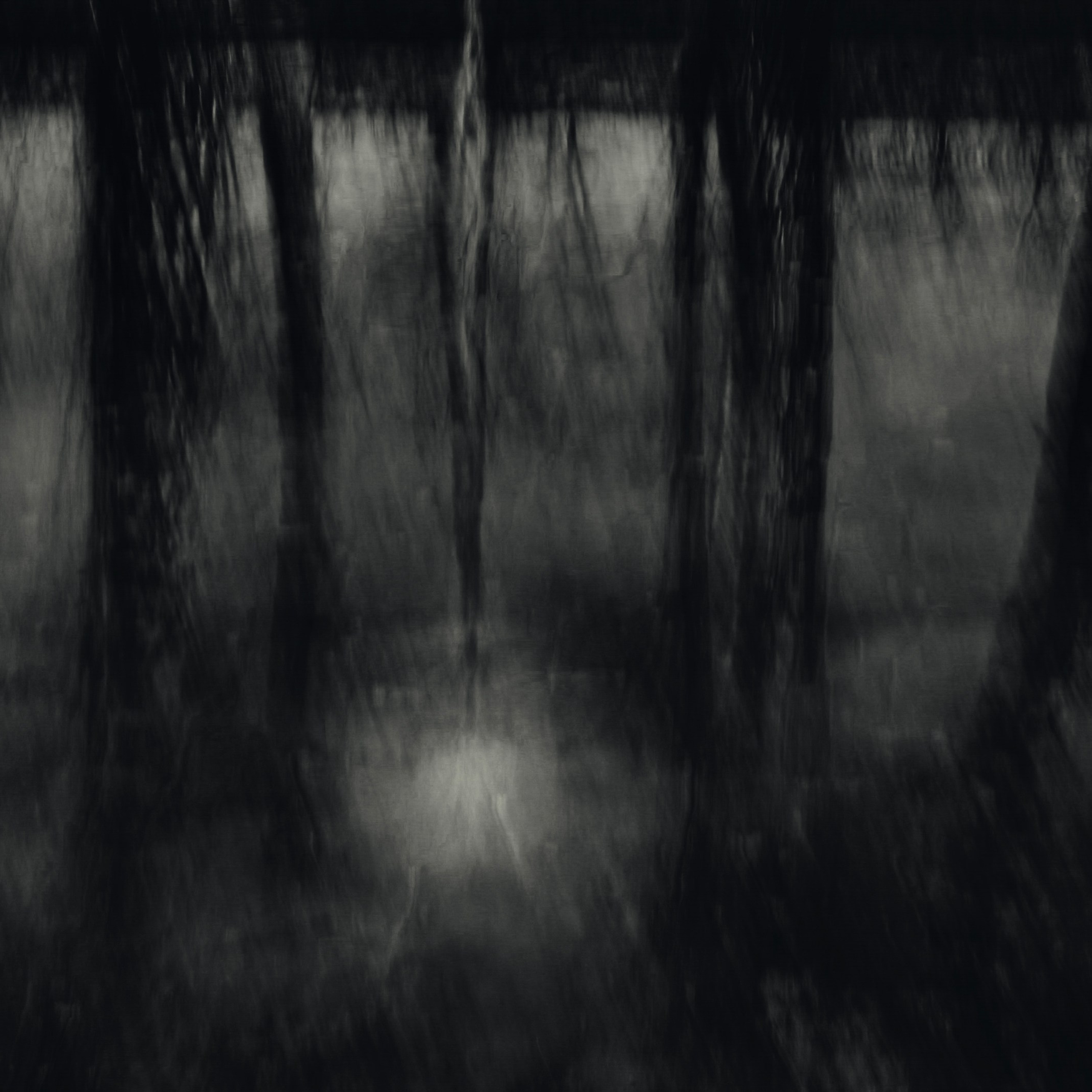 Not For Us. 2025. Евгений Курсков