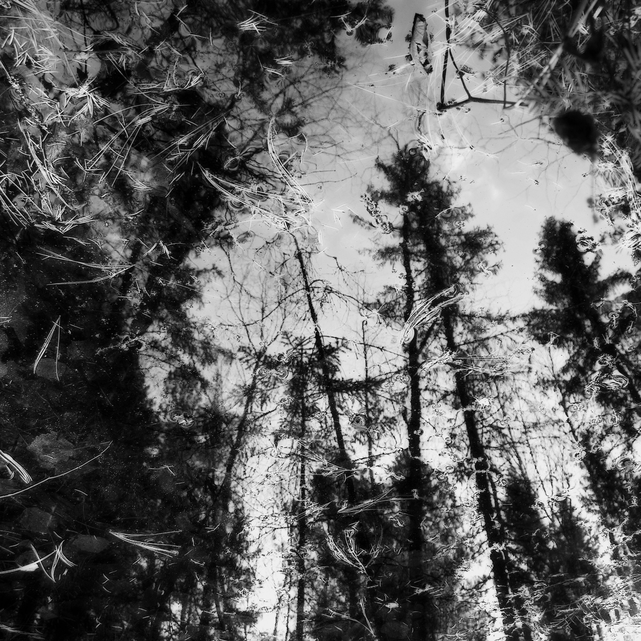 BW. 2003-2025. Евгений Курсков