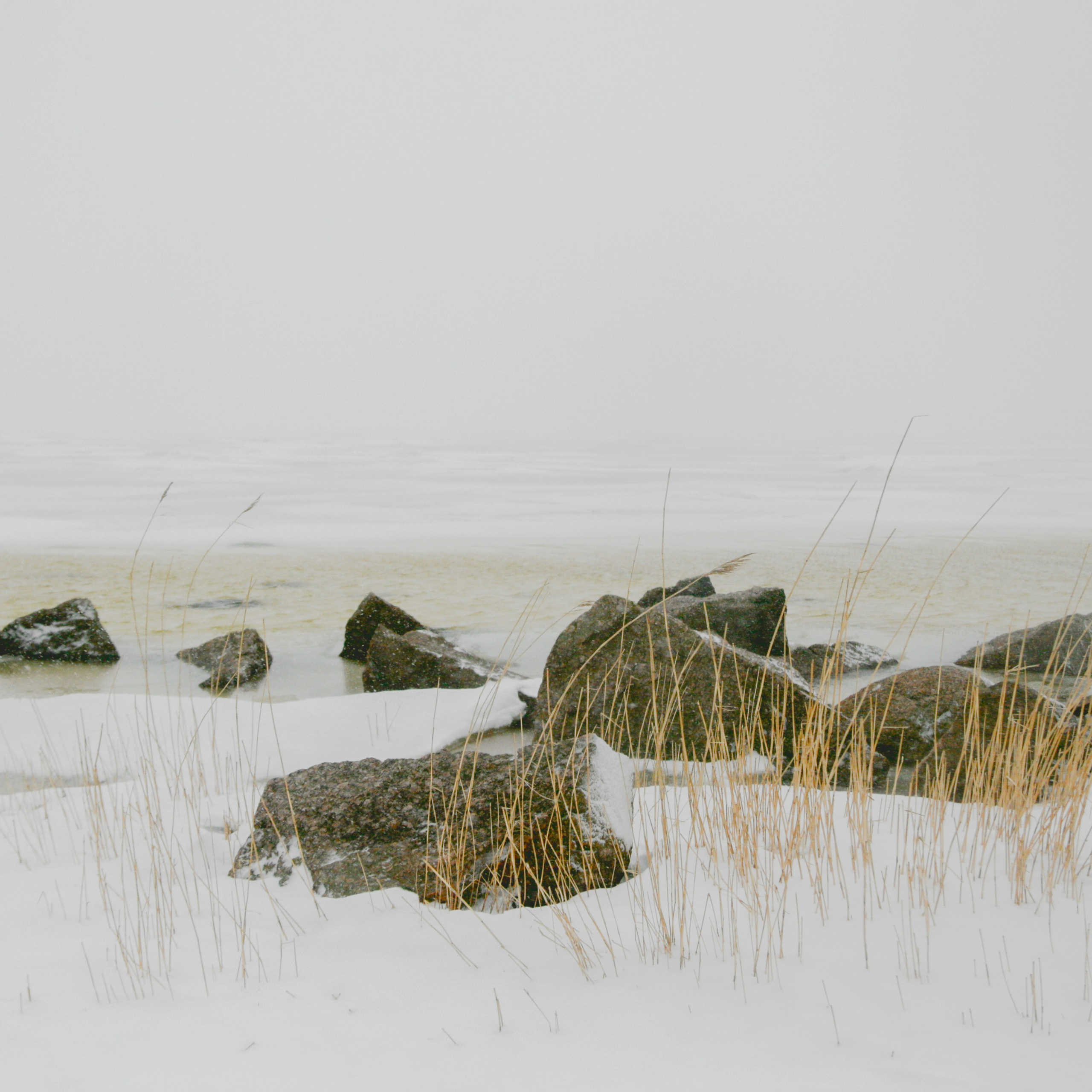 Colour. 2005-2025. Евгений Курсков