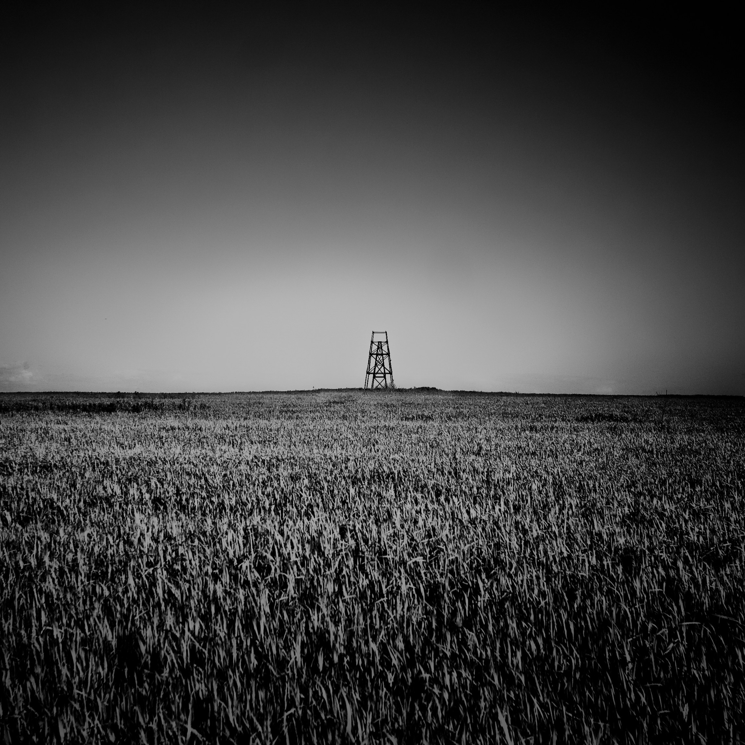 Темно-серые. 2006-20 10. Евгений Курсков