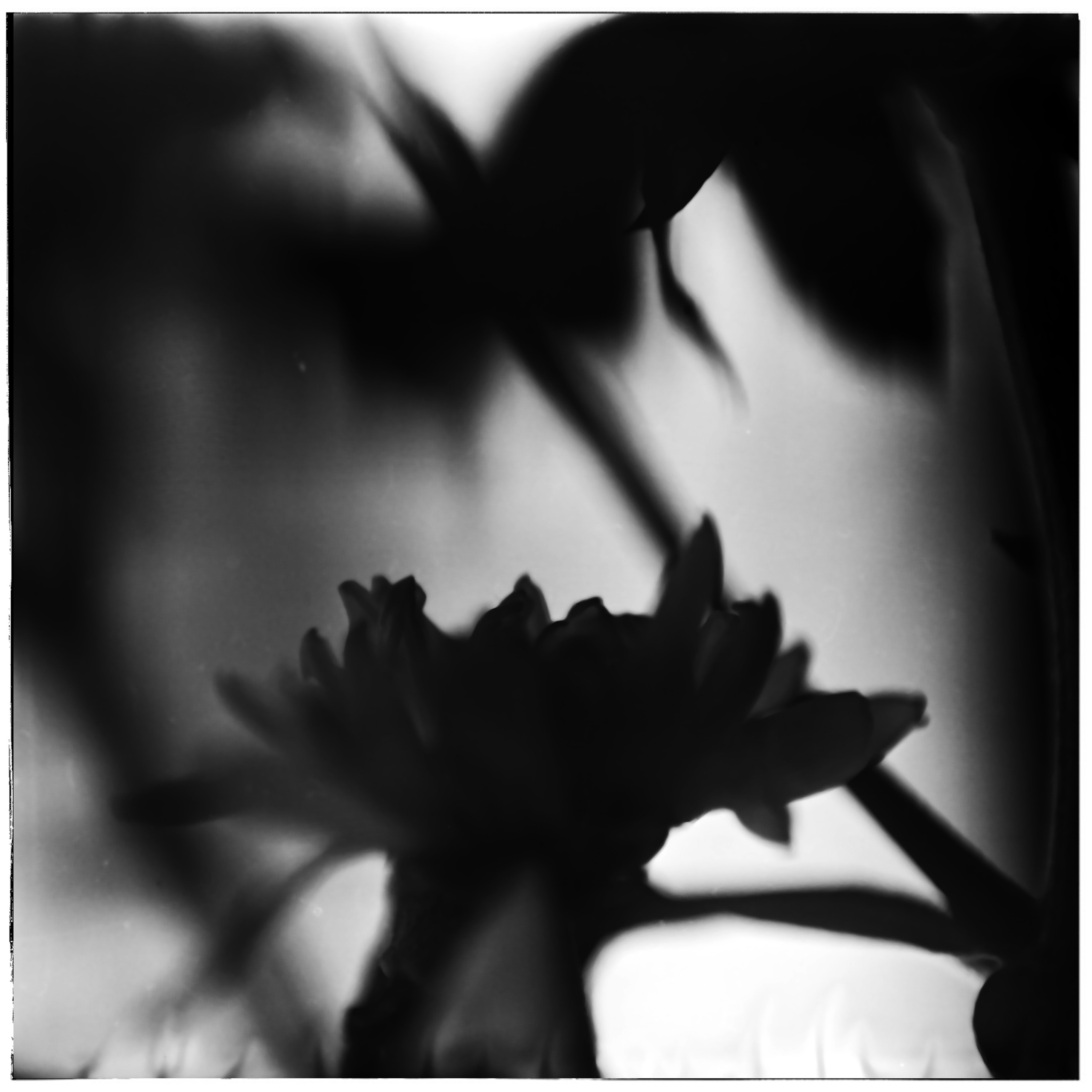 Ранние работы. 2003-2004. Евгений Курсков