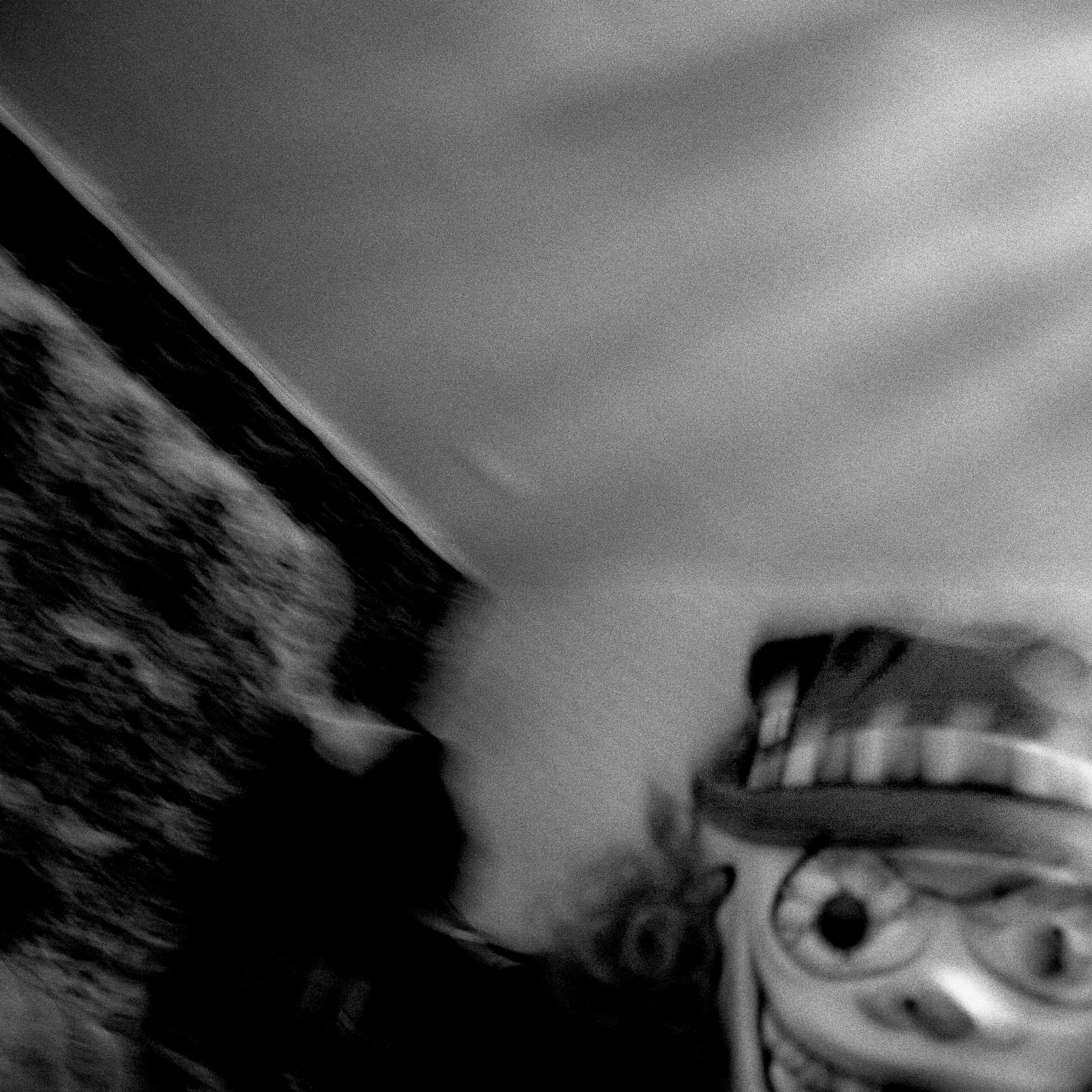 BW. 2009-2014. Евгений Курсков